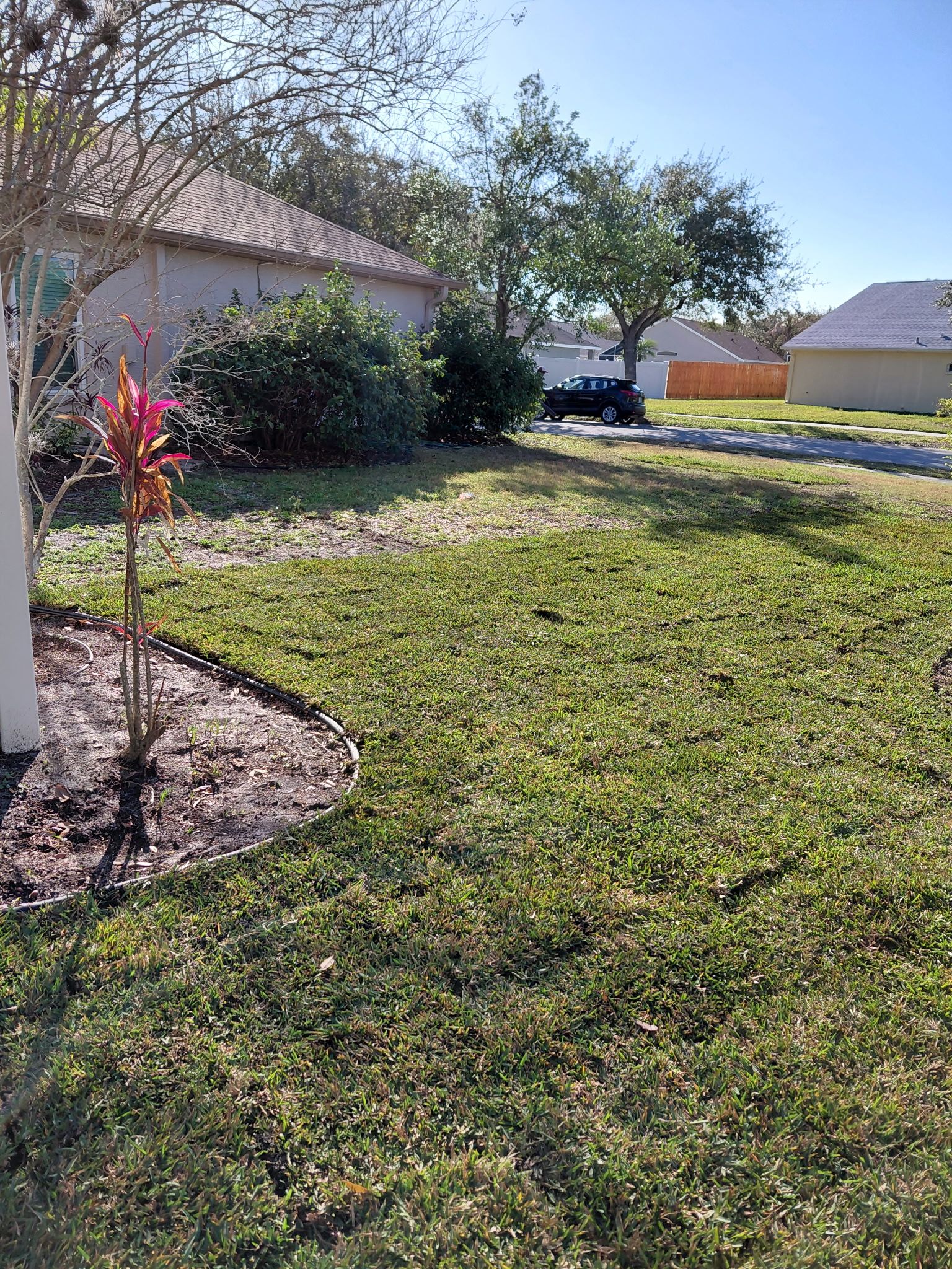  for Gulf Bay Sod in Clearwater, FL