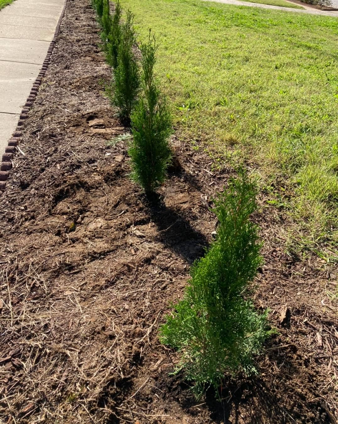 All Photos for S&R Landscaping and Nursery in Charlotte, NC