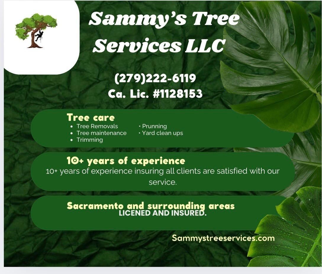 All Photos for Sammy's Tree Services in Sacramento, CA