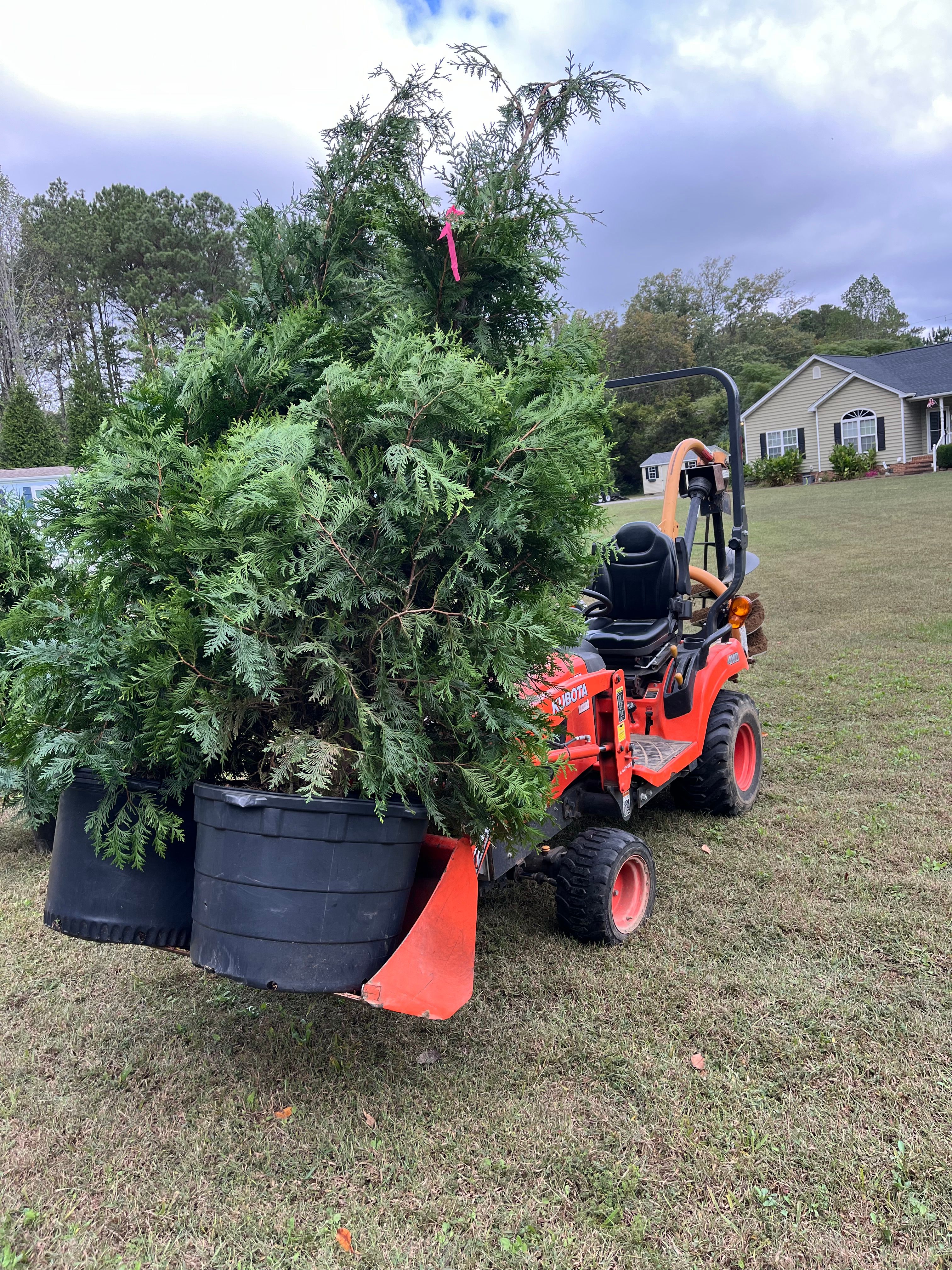  for Atlas Home Services in Mechanicsville, VA