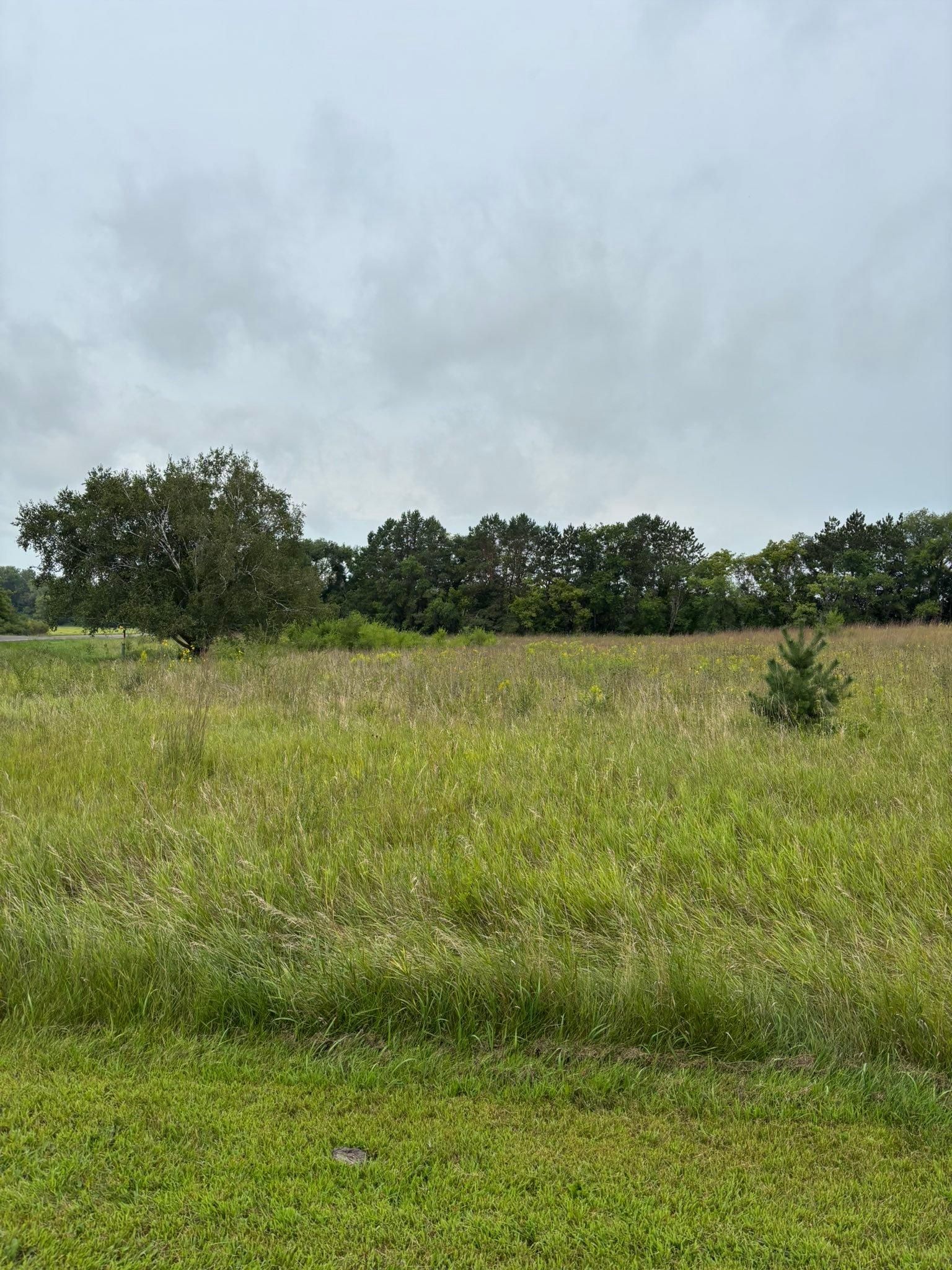  for Root Land Management in Watkins, MN