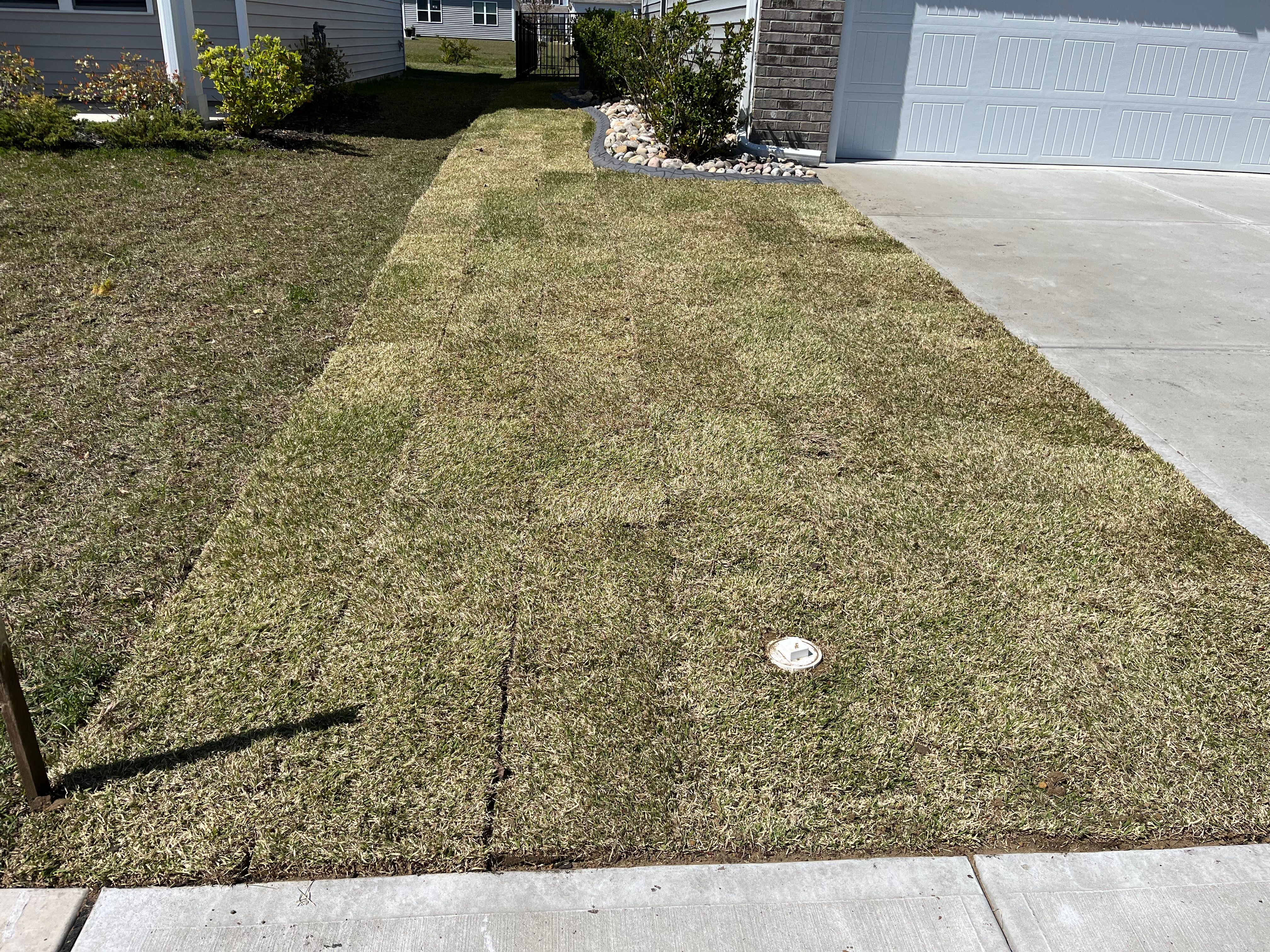  for New Creation Lawn and Landscape in Myrtle Beach, SC