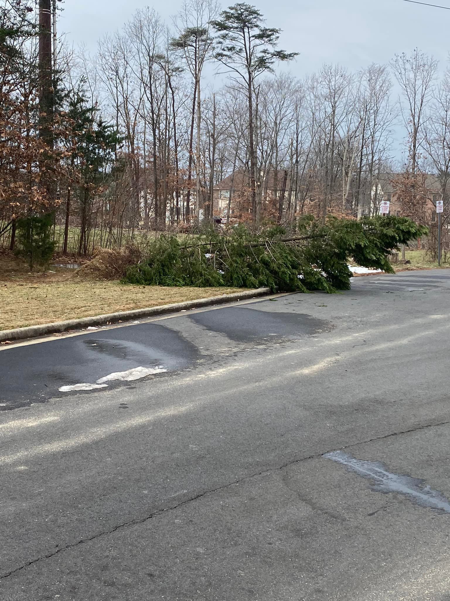  for Mountainside Property Services LLC in Warrenton, VA, Warrenton, VA