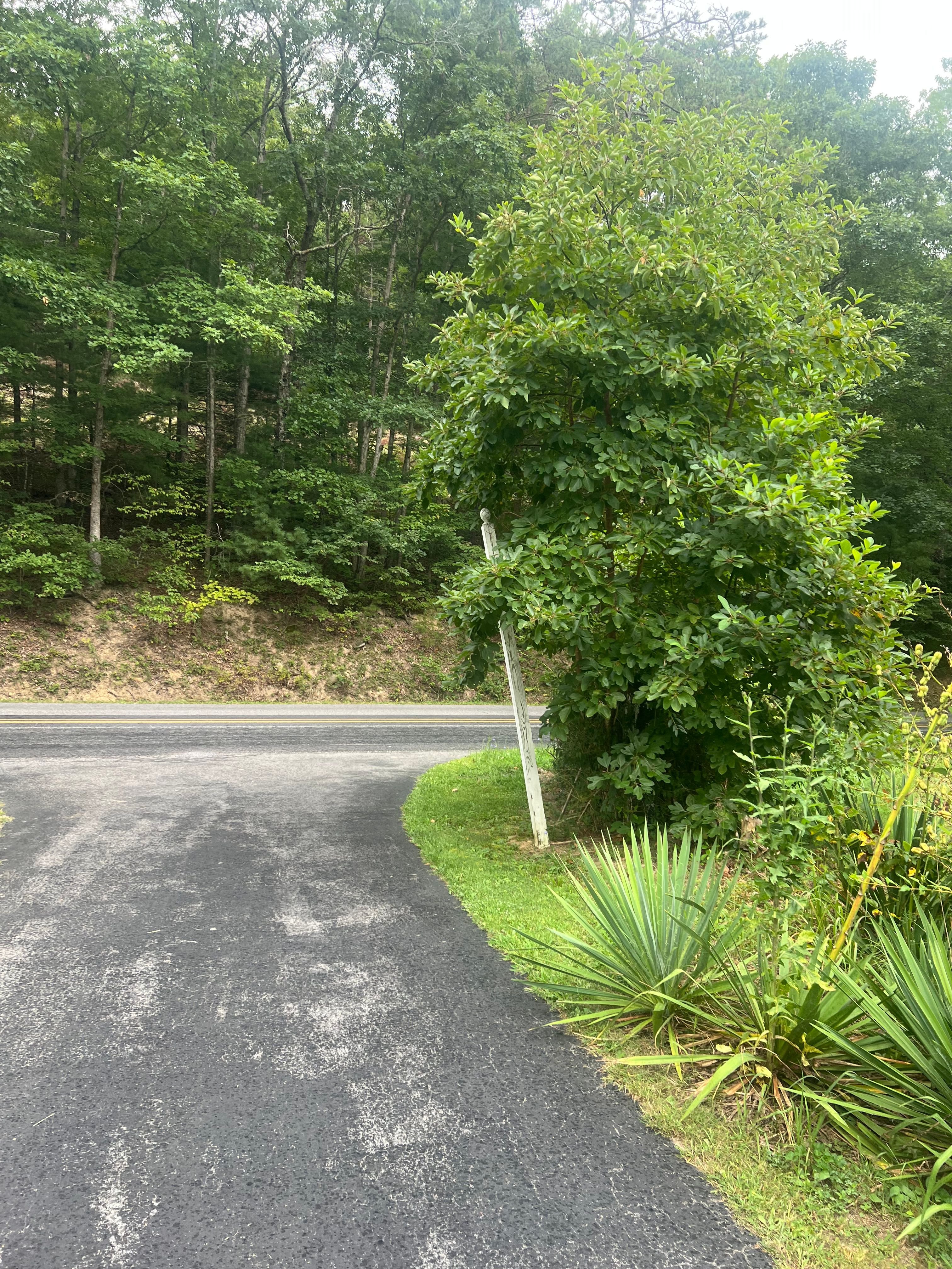 All Photos for Clarke Excavation Co. in Covington, VA