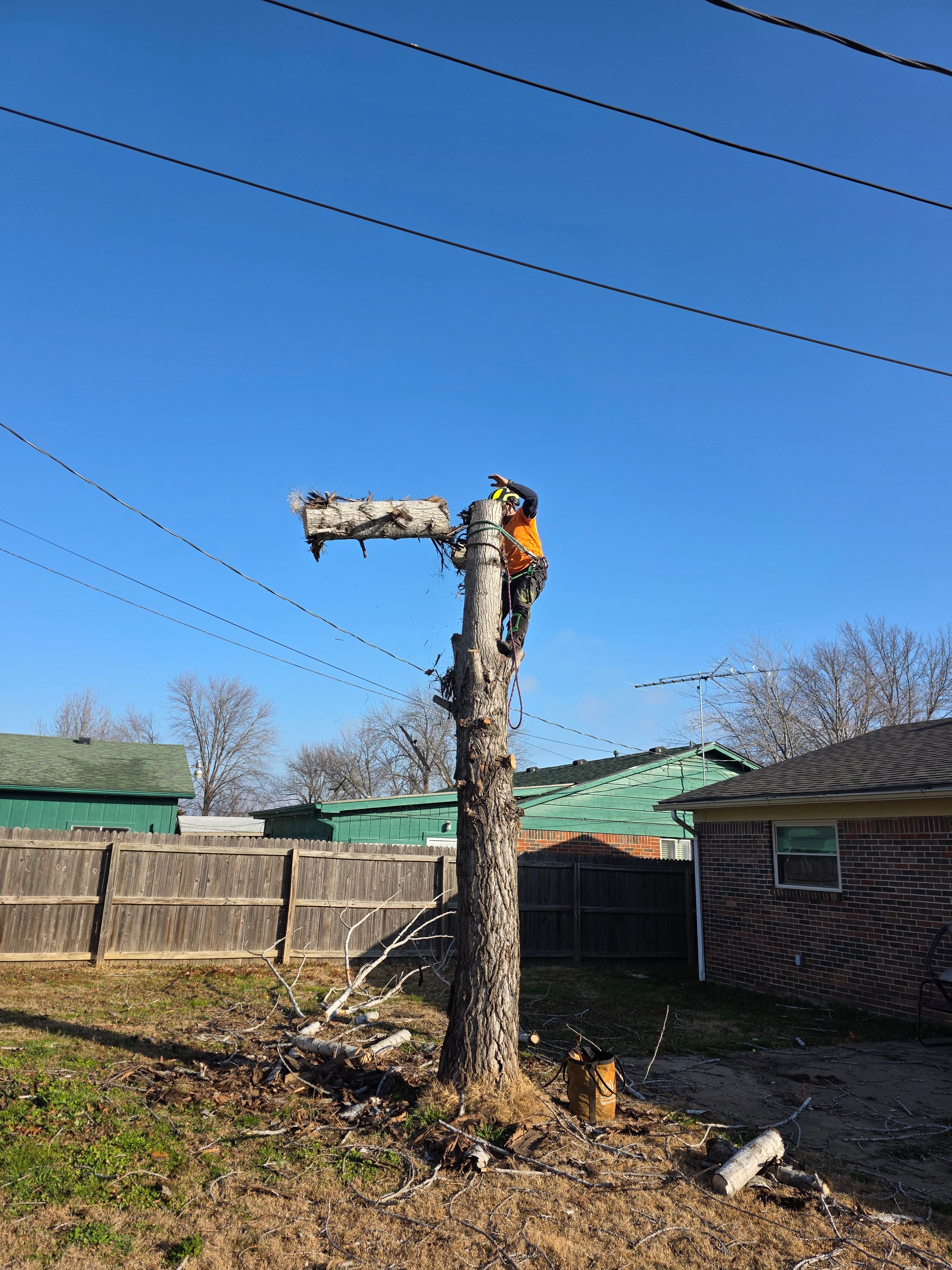  for Oklahoma Tree Guy in Bartlesville, OK