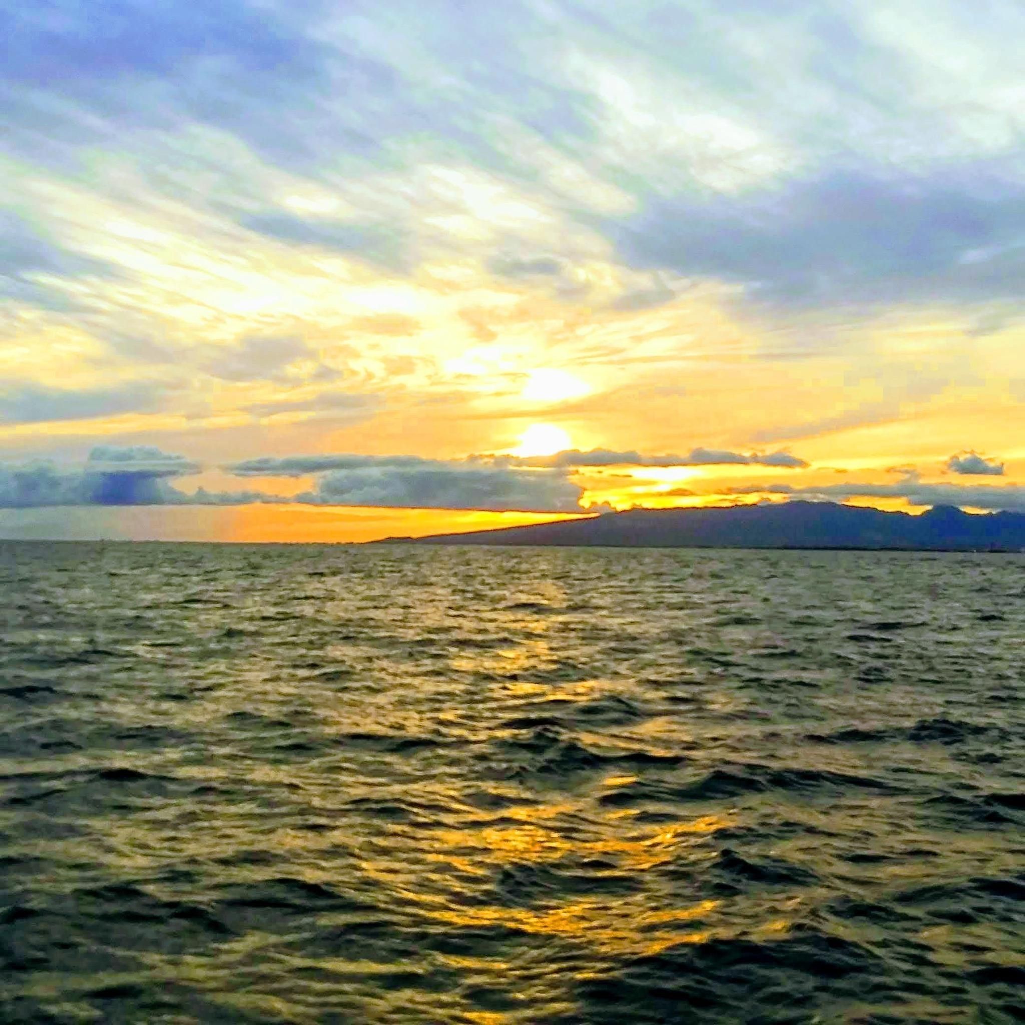 All Photos for BAM Another Pinestraw Lot in Flowery Branch, GA