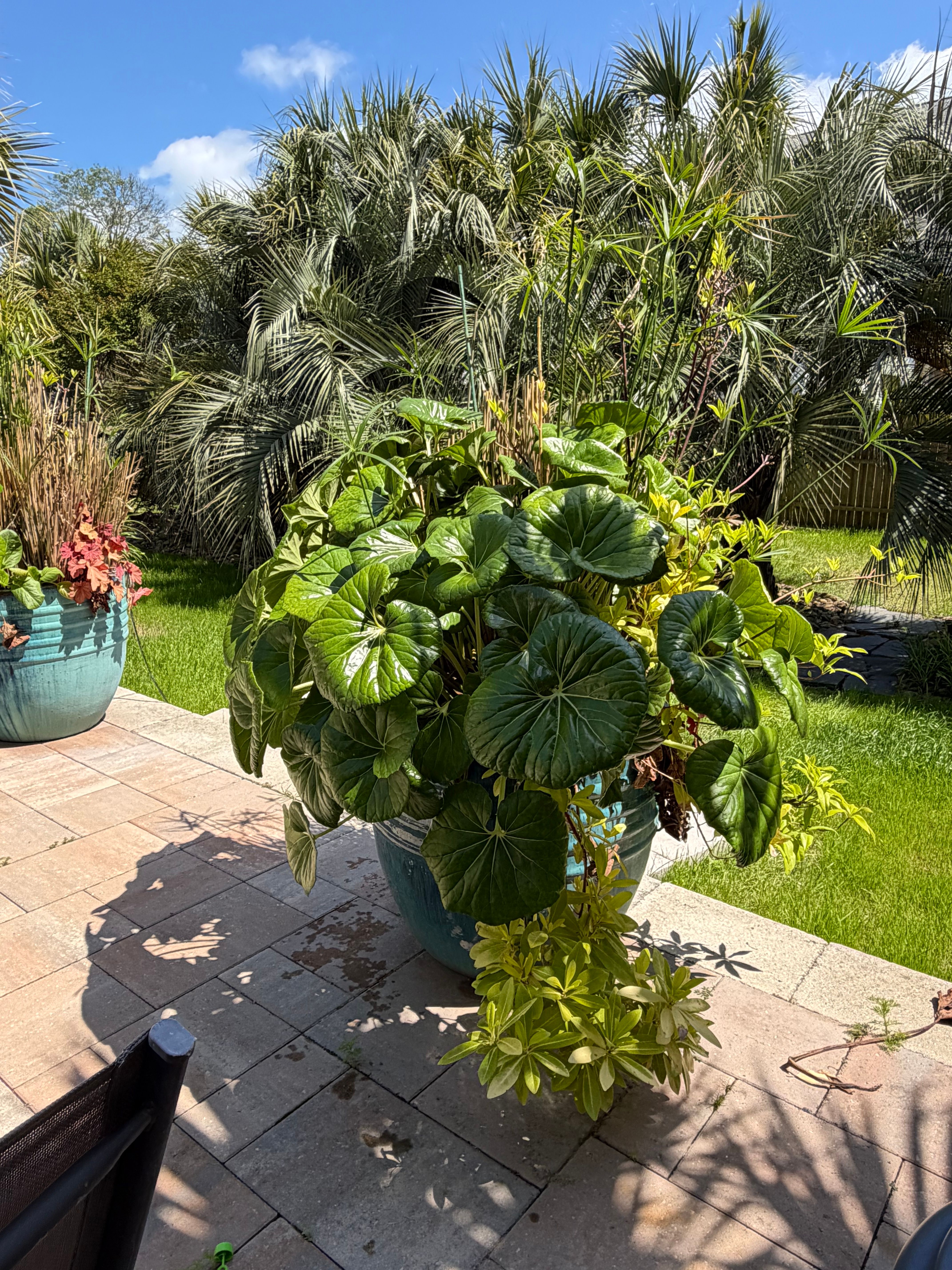  for JND Transformation Landscapes & Hardscapes LLC in Cedar Point, NC