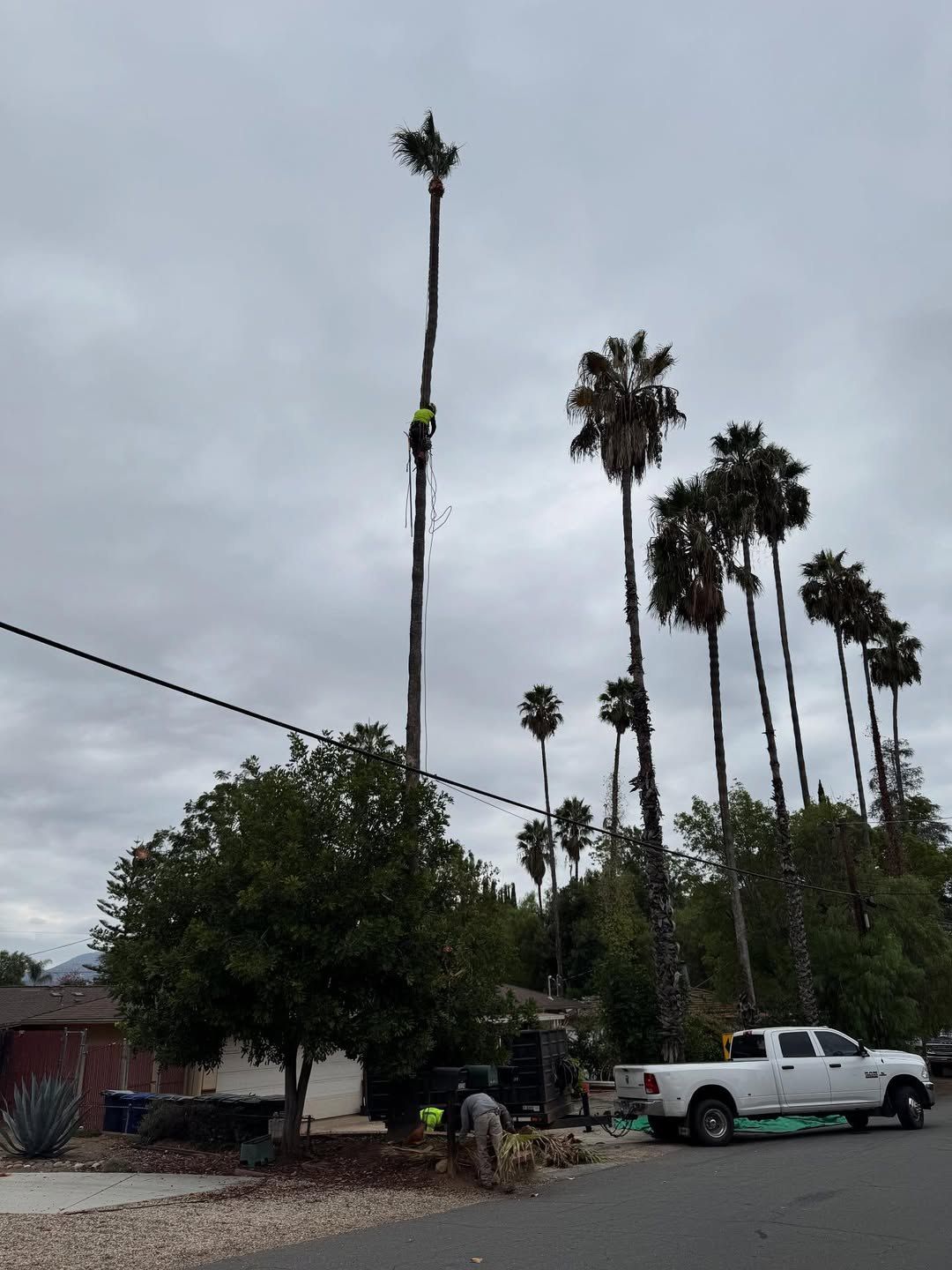  for Herreras Land Service in San Diego, CA