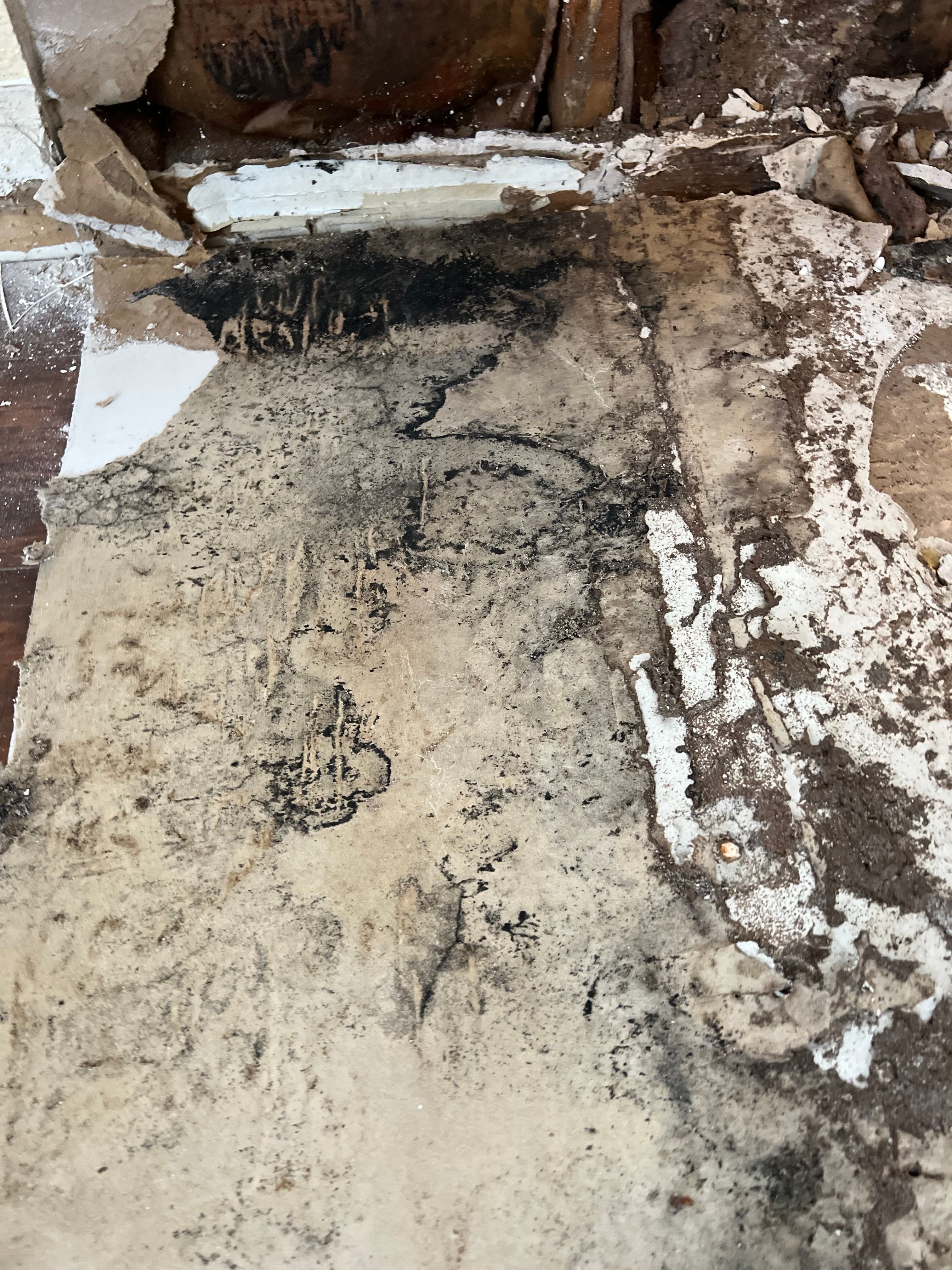  for N&D Restoration Services When Disaster Strikes, We Come In in Cape Coral,  FL