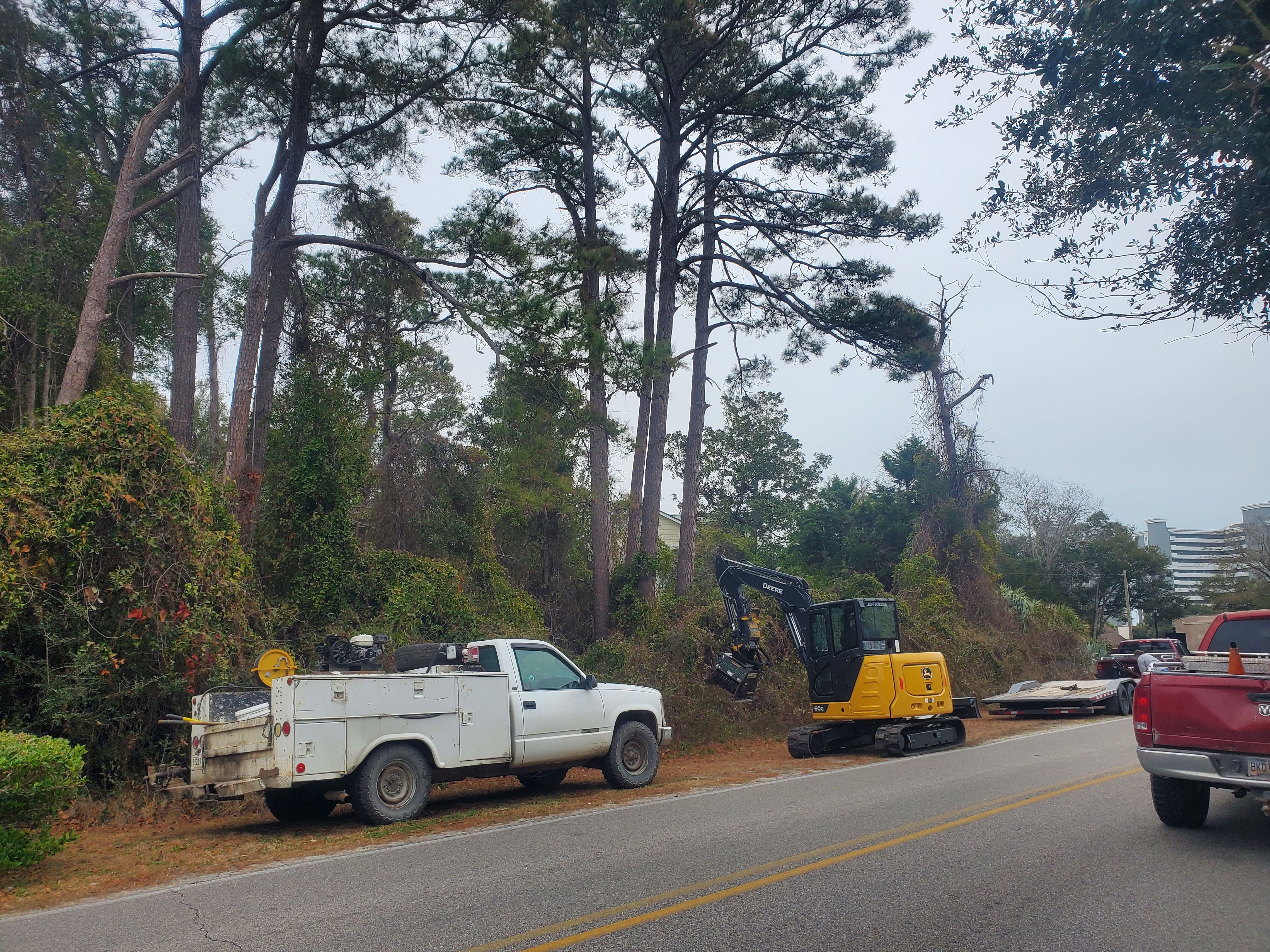 All Photos for TJ Farm and Land Management in Loris, SC