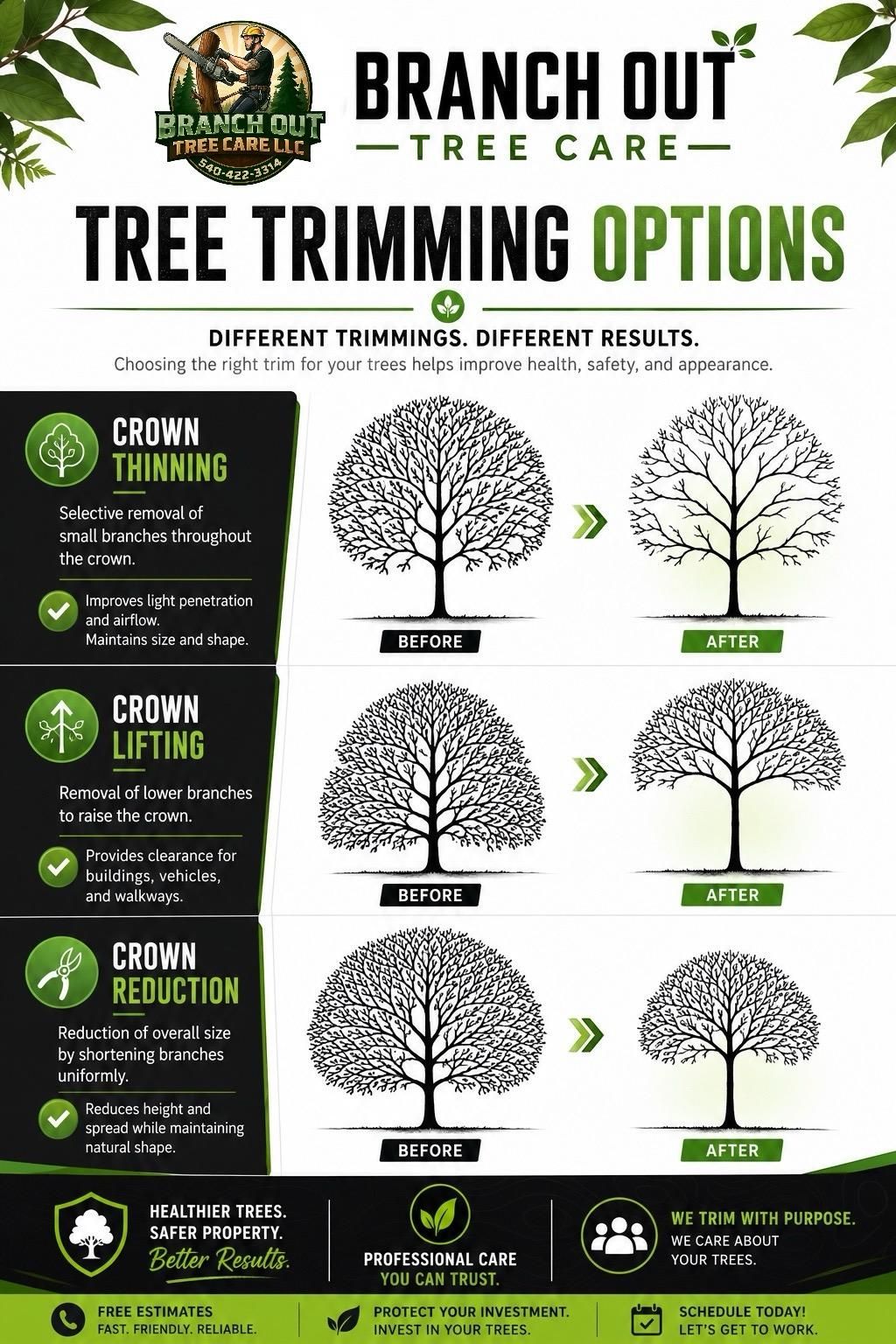  for Branch Out Tree Care LLC in Fredericksburg, VA