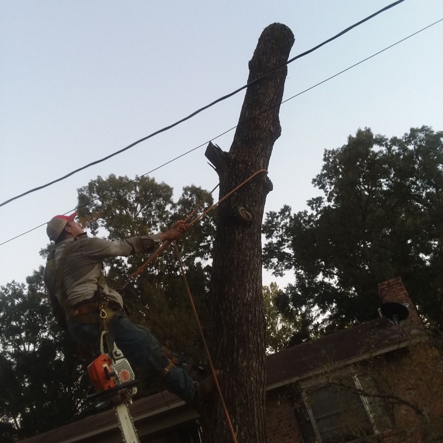 All Photos for Leon Landscaping & Tree Service in Palestine, TX