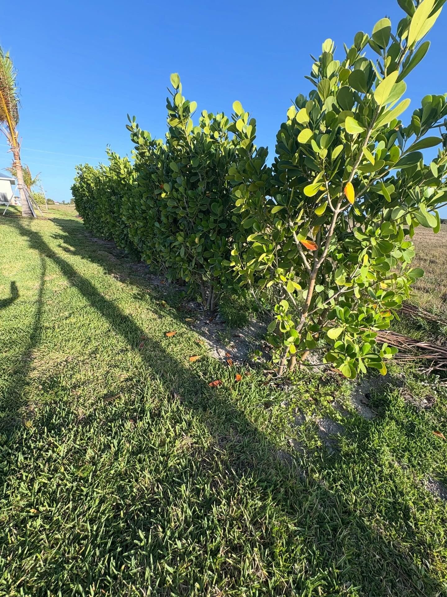  for R&R GreenWorks in North Port, FL