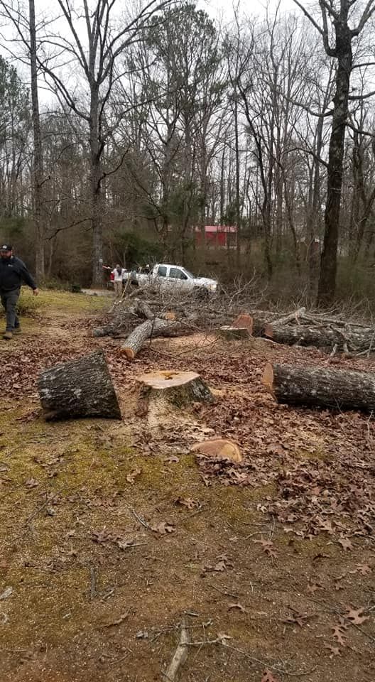  for DNA Tree Service in Birmingham, AL