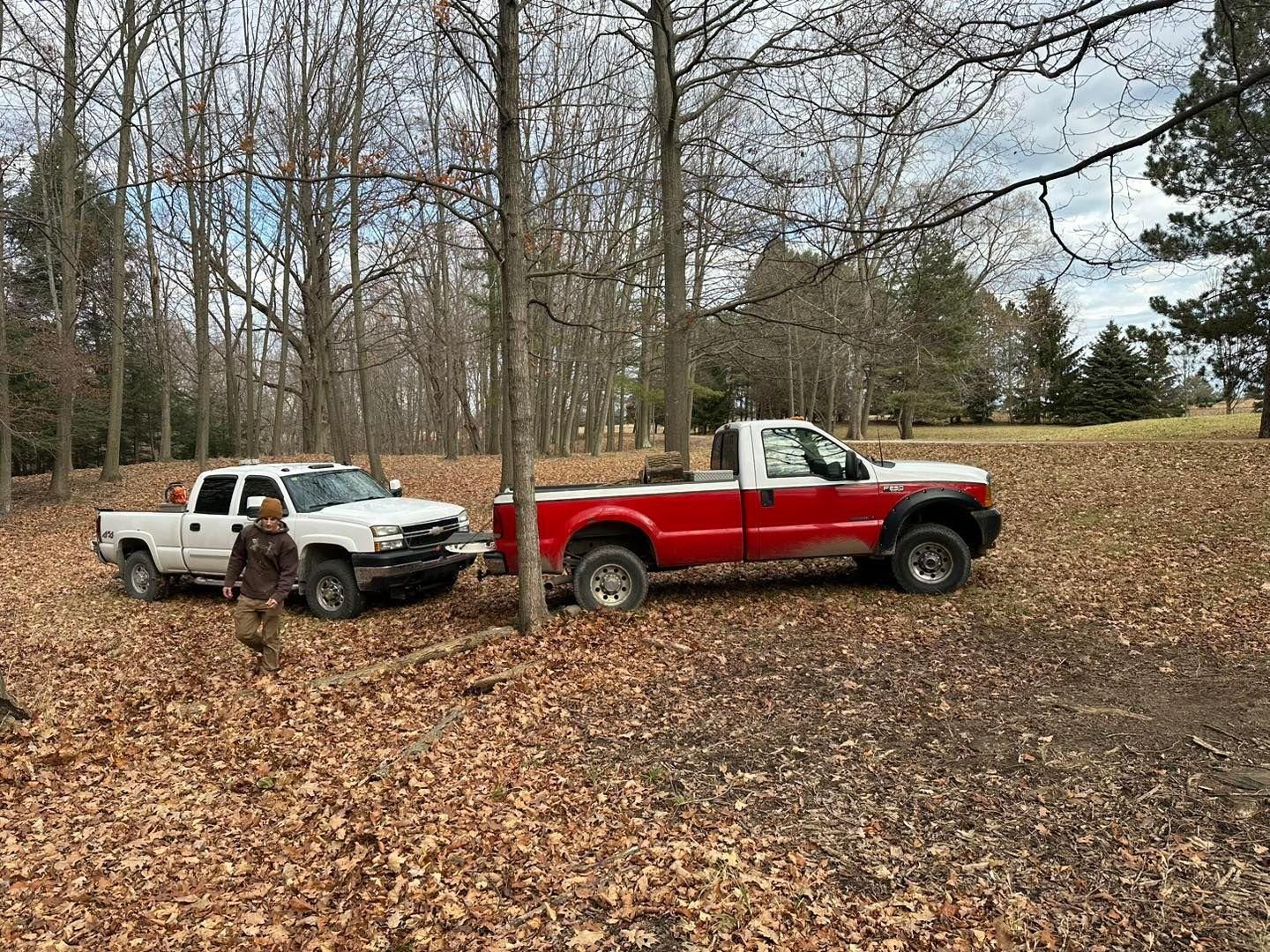 Spring and Fall Clean Ups for Lake Huron Lawns in Lexington, MI