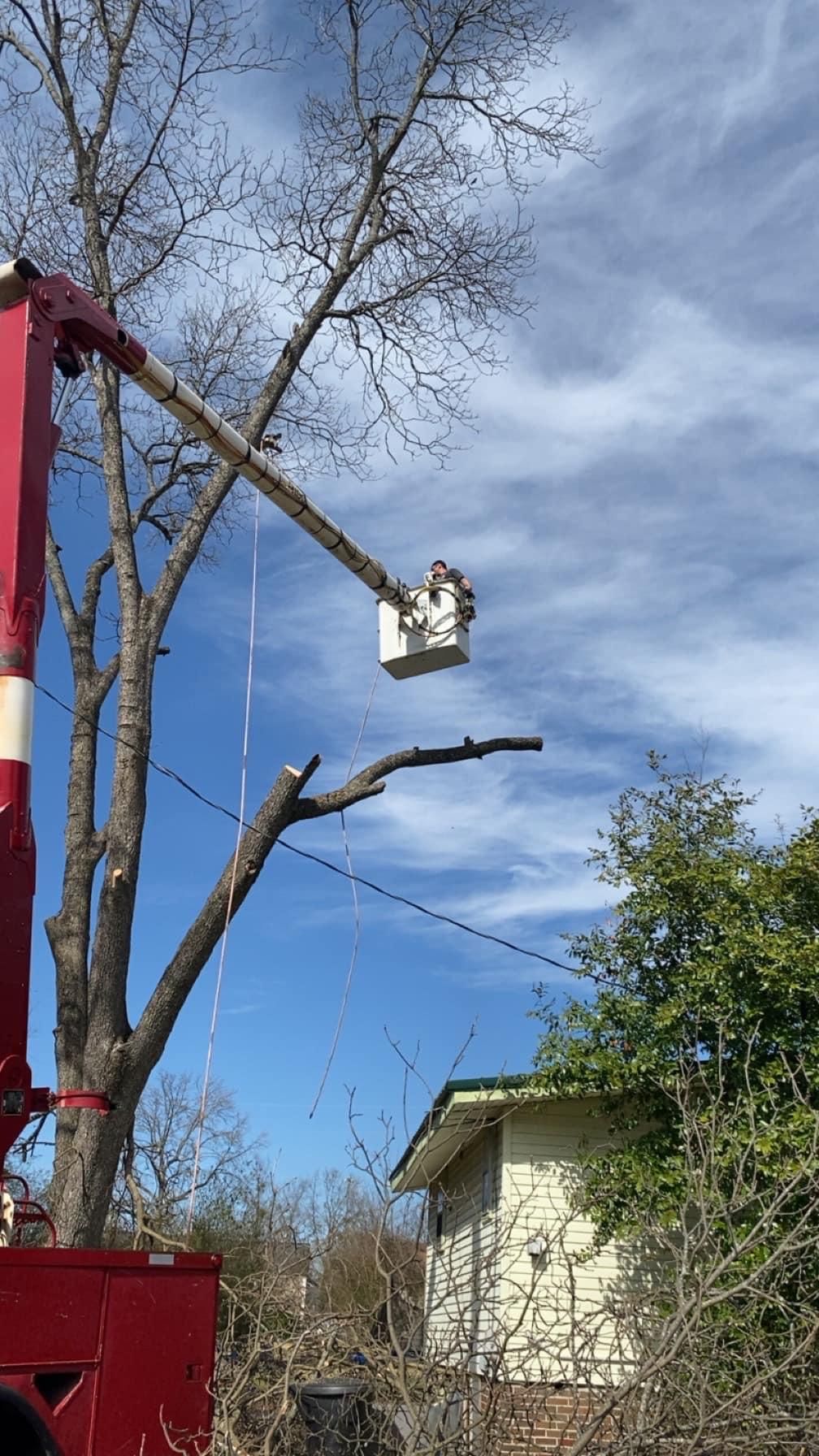  for Jeff’s Tree Service in Southside, AL