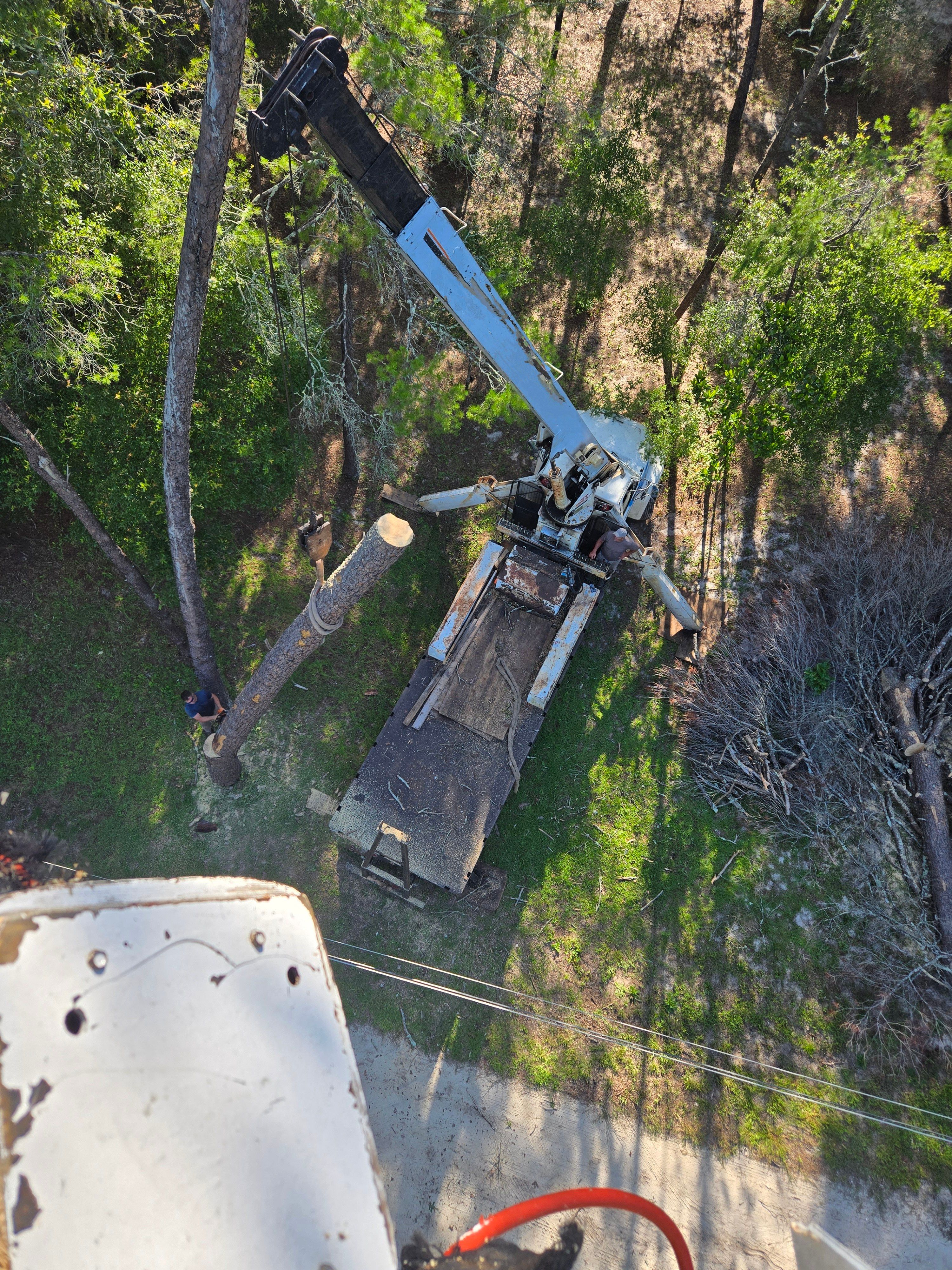 All Photos for Near Me Tree Service, Inc. in DeLand, FL