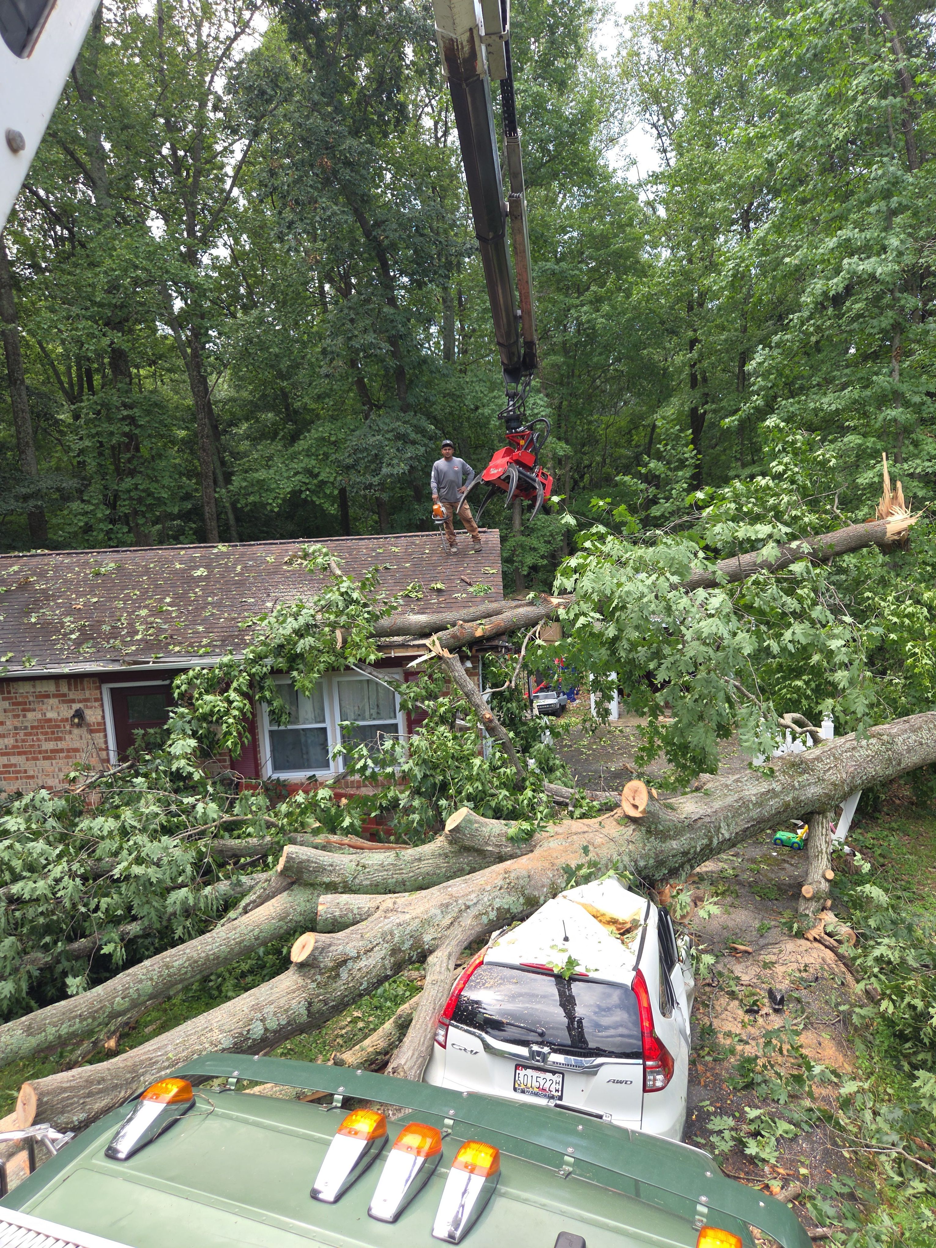  for Darbie's Tree Service in Newburg,  MD