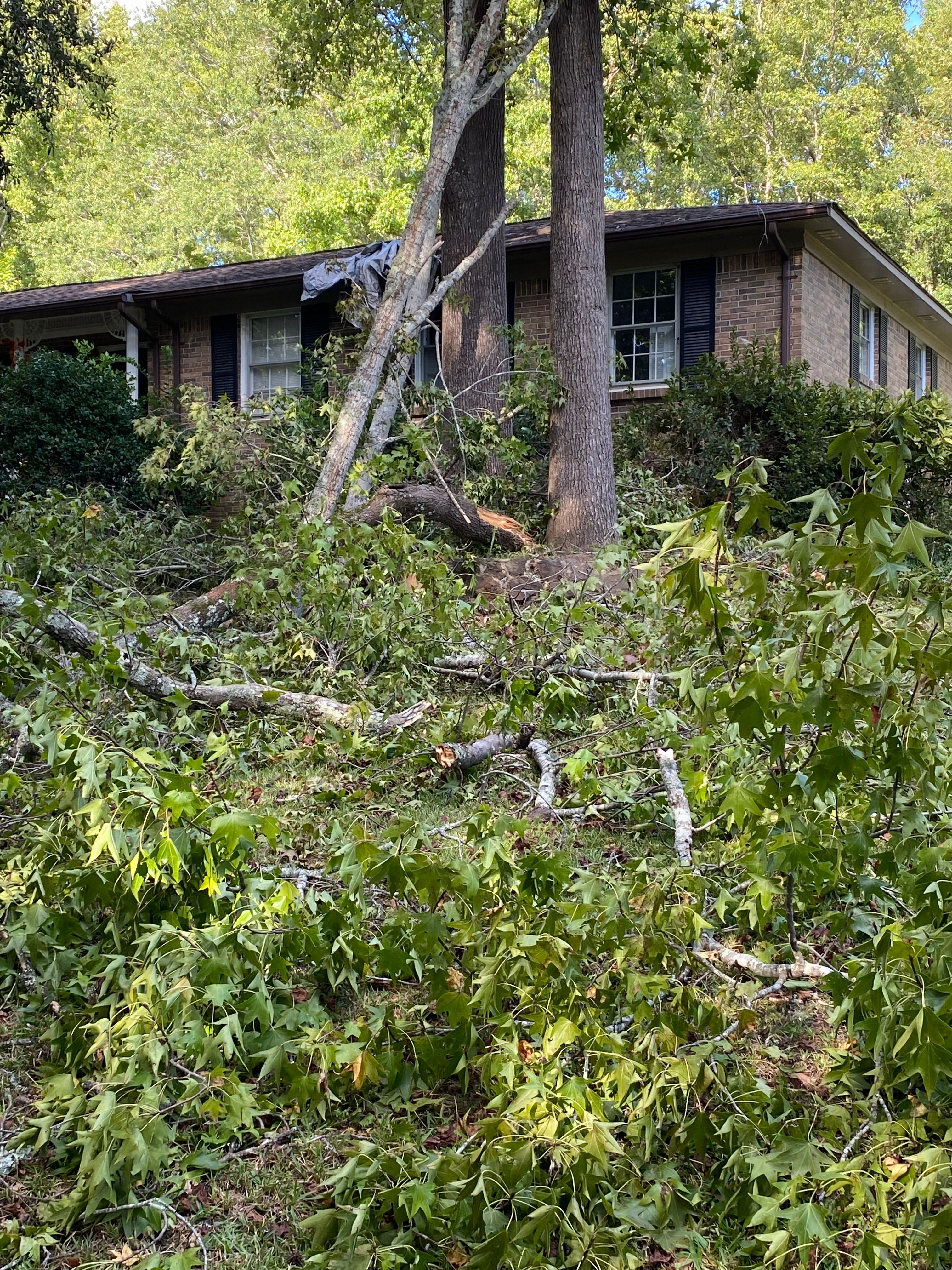 All Photos for DuBose Outdoor Services in Sumter, SC