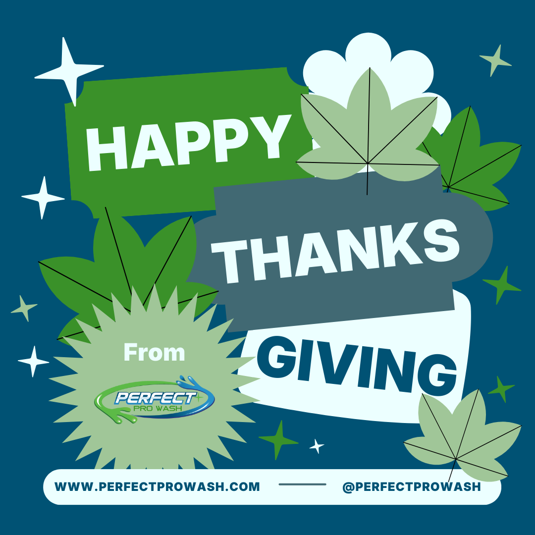  for Perfect Pro Wash in Oxford, AL