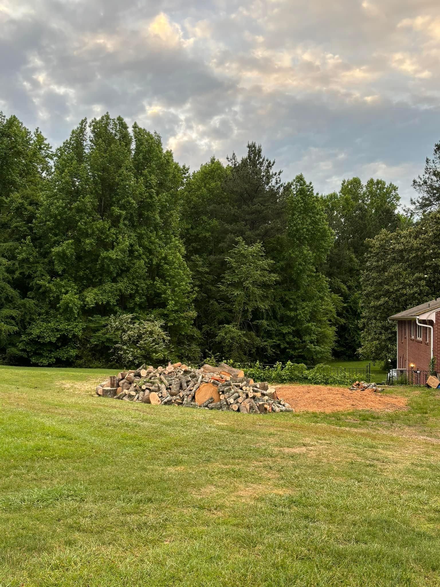  for Ascending Tree Service LLC in Kenbridge, VA