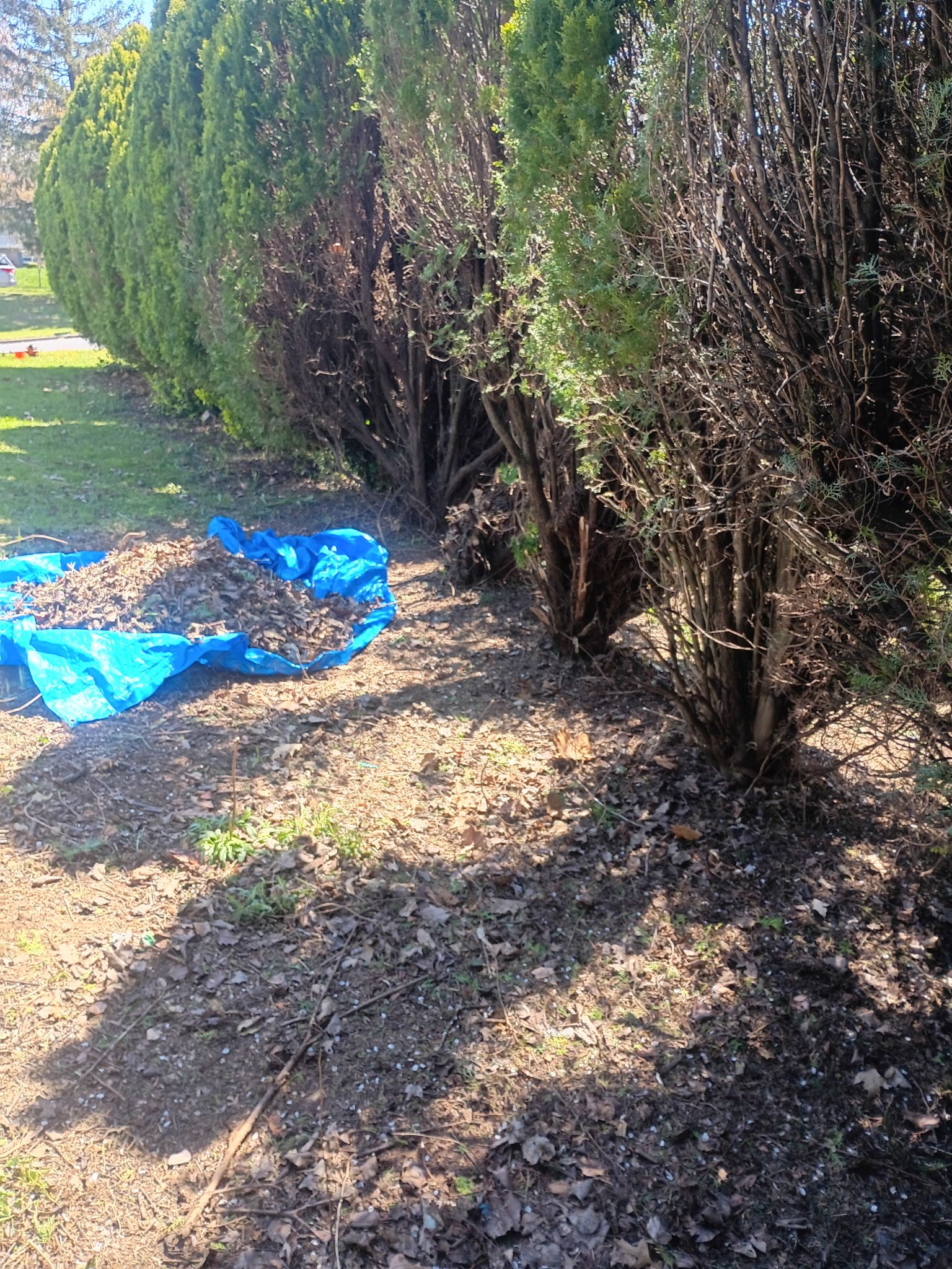  for Glen Co Solutions Inc. in Frederick, MD