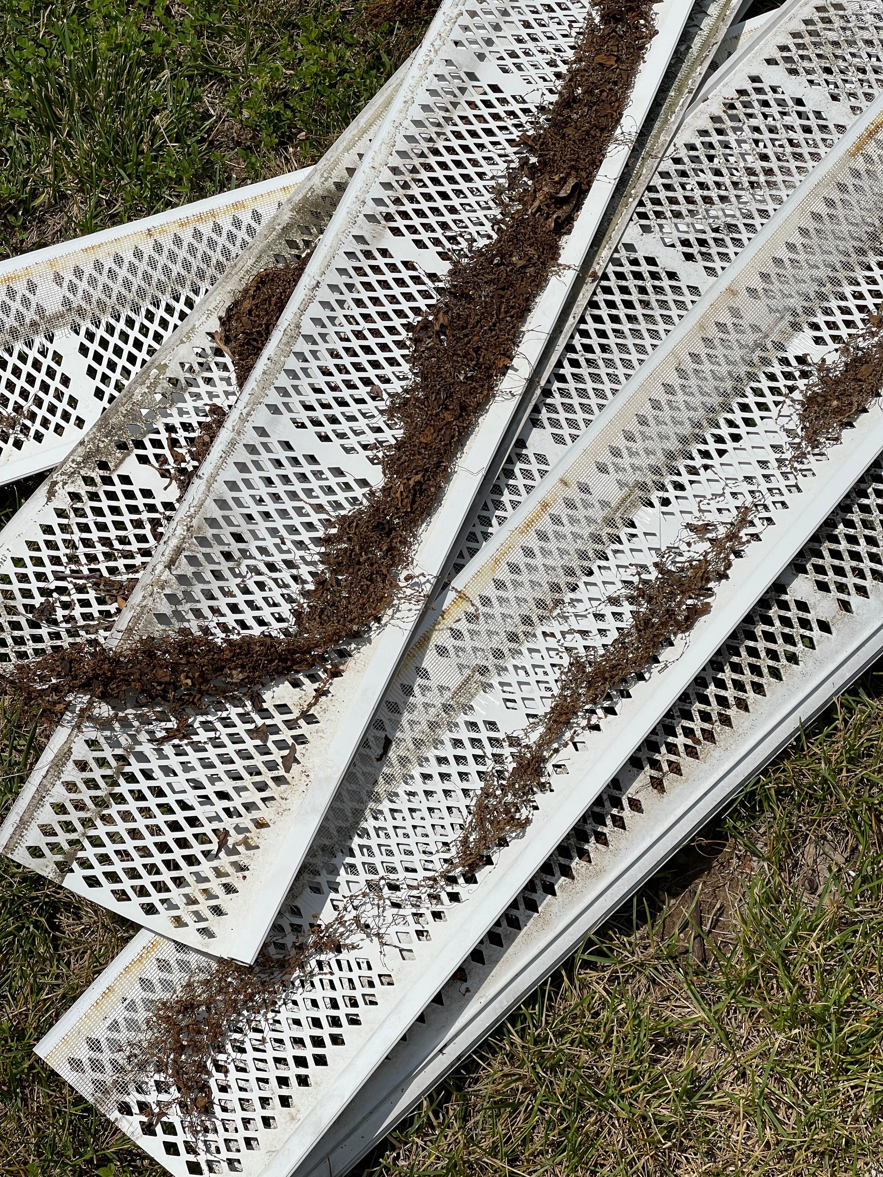  for See2it Clean in St Louis, MO