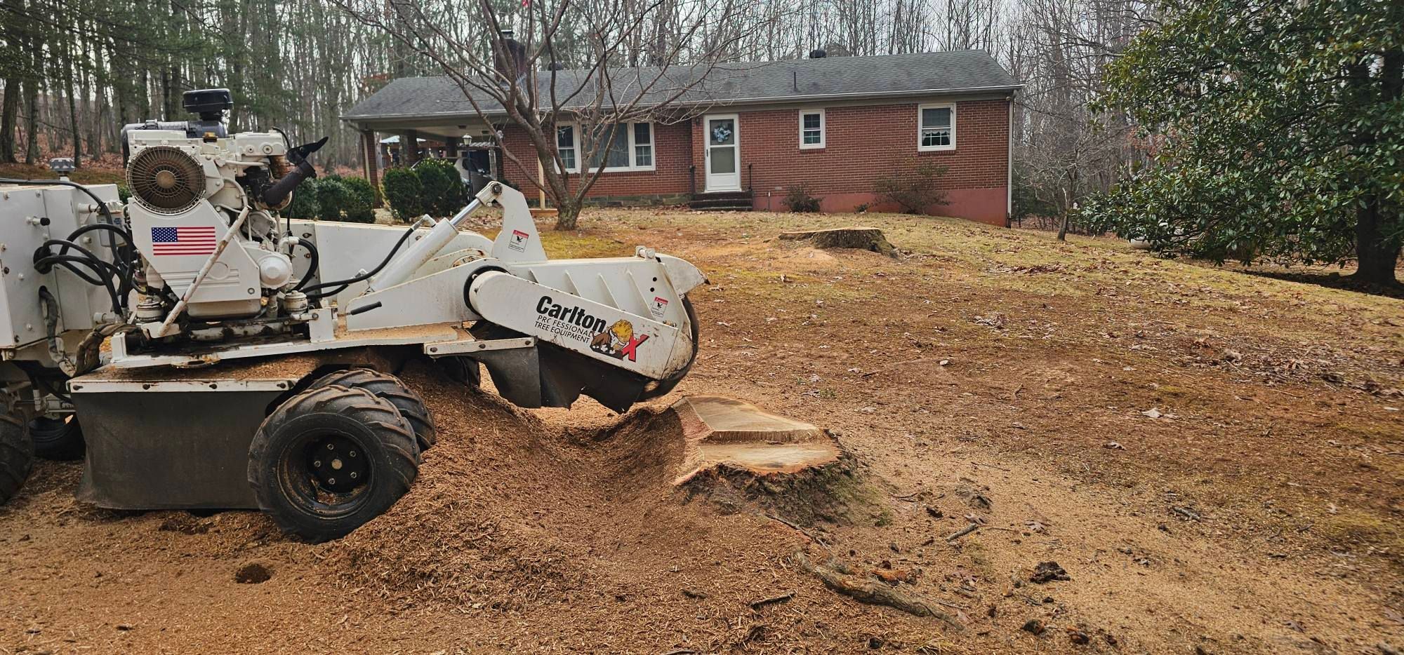  for Hamlett Tree Service LLC in Clover, VA