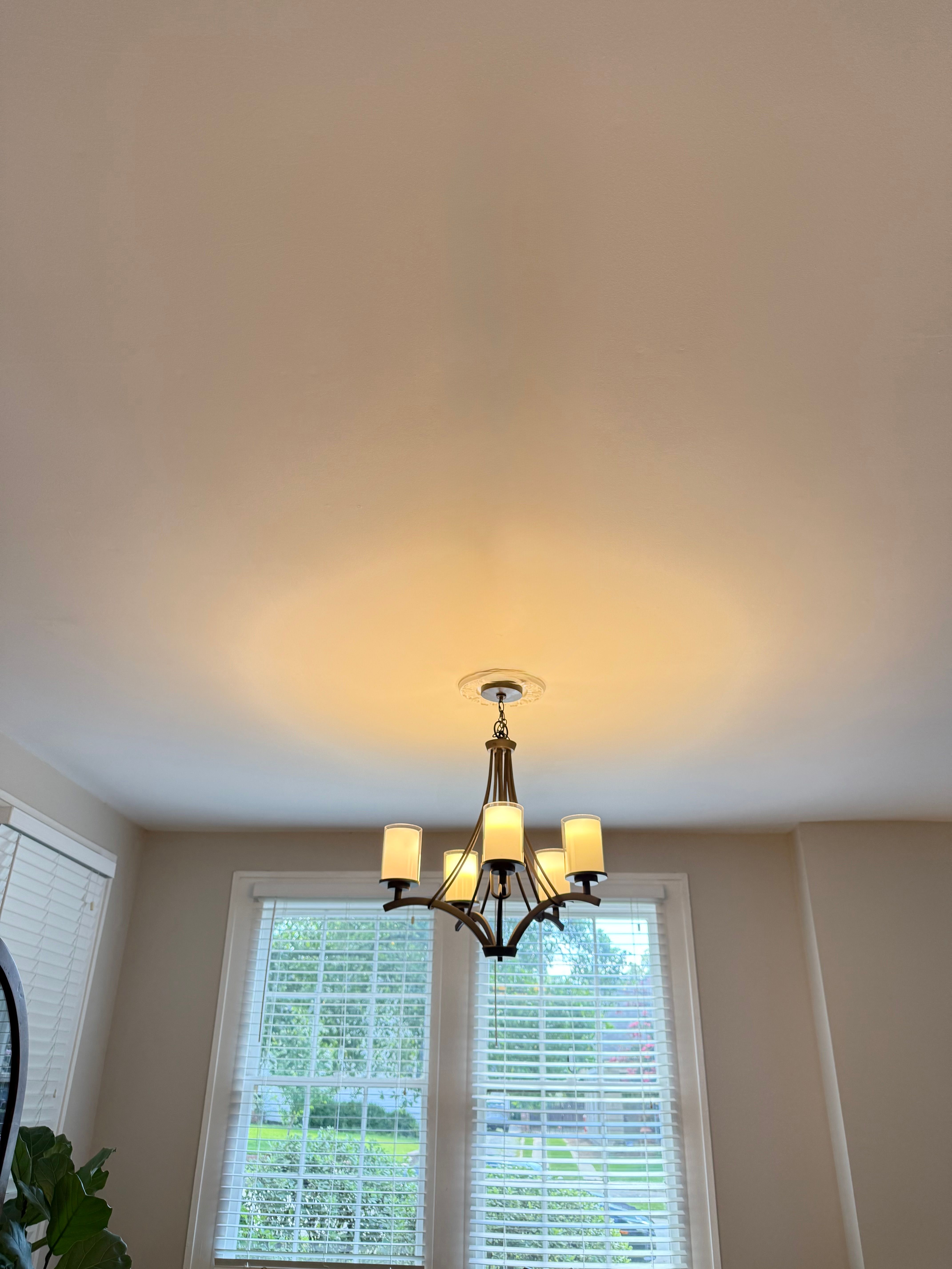  for EZ Painting & Washing in Macon, GA