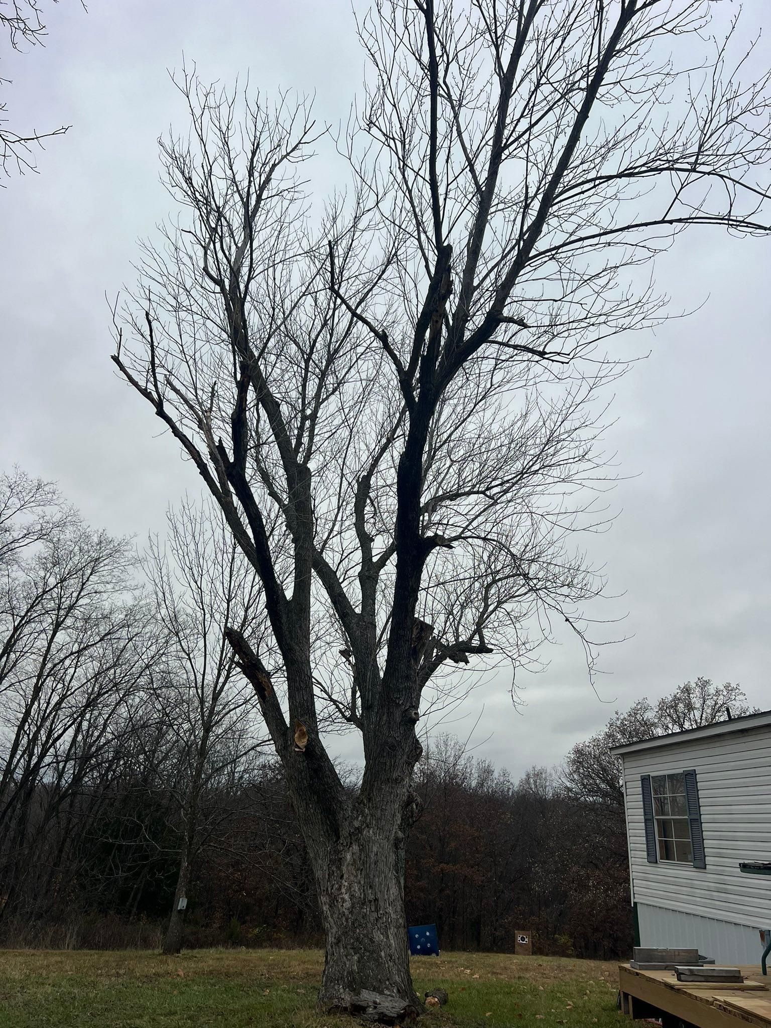 All Photos for Baker Professional Services LLC in Shelbina, MO