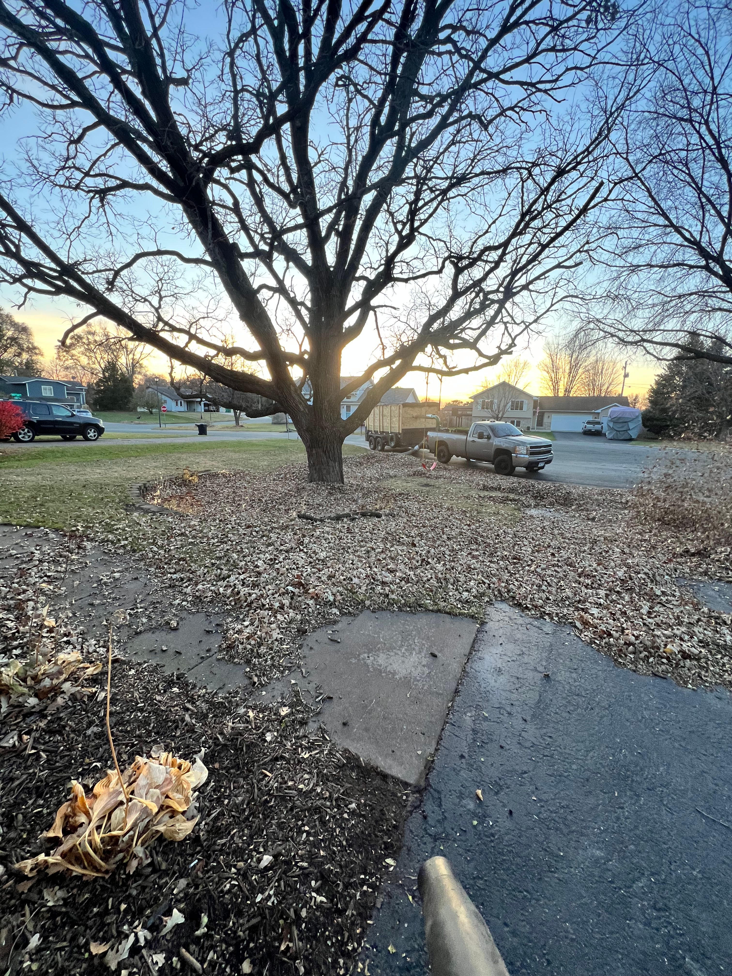  for Luke's Lawn Care and Landscape in Andover, MN