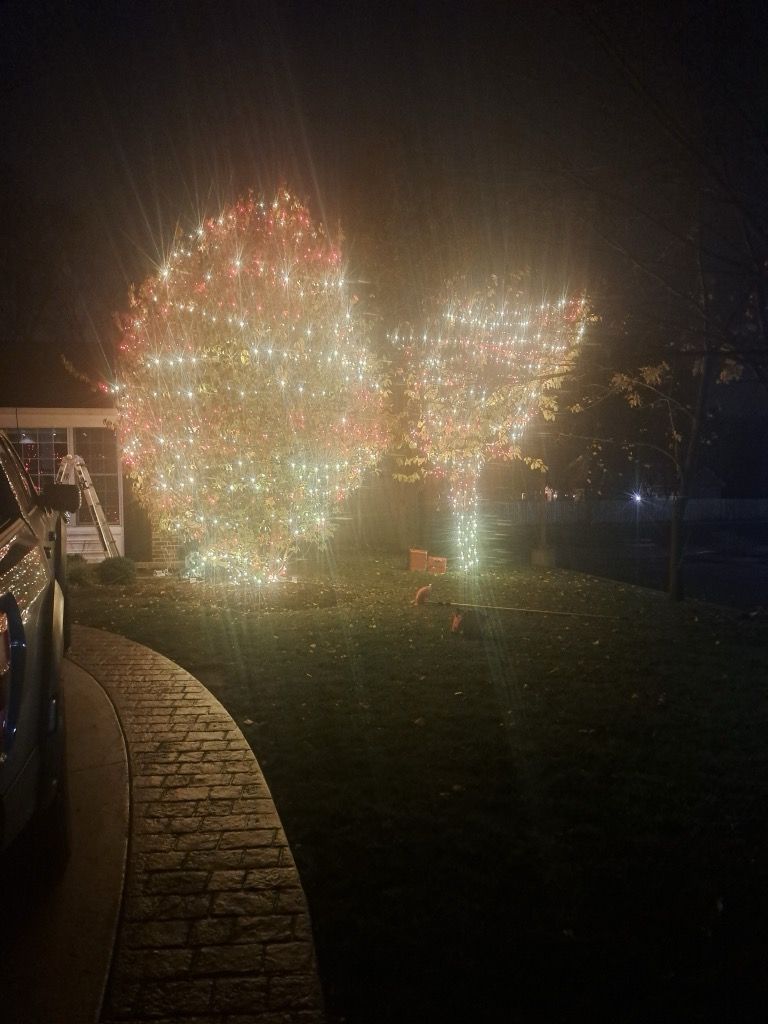  for Premier Lighting LLC in Lake County, IL