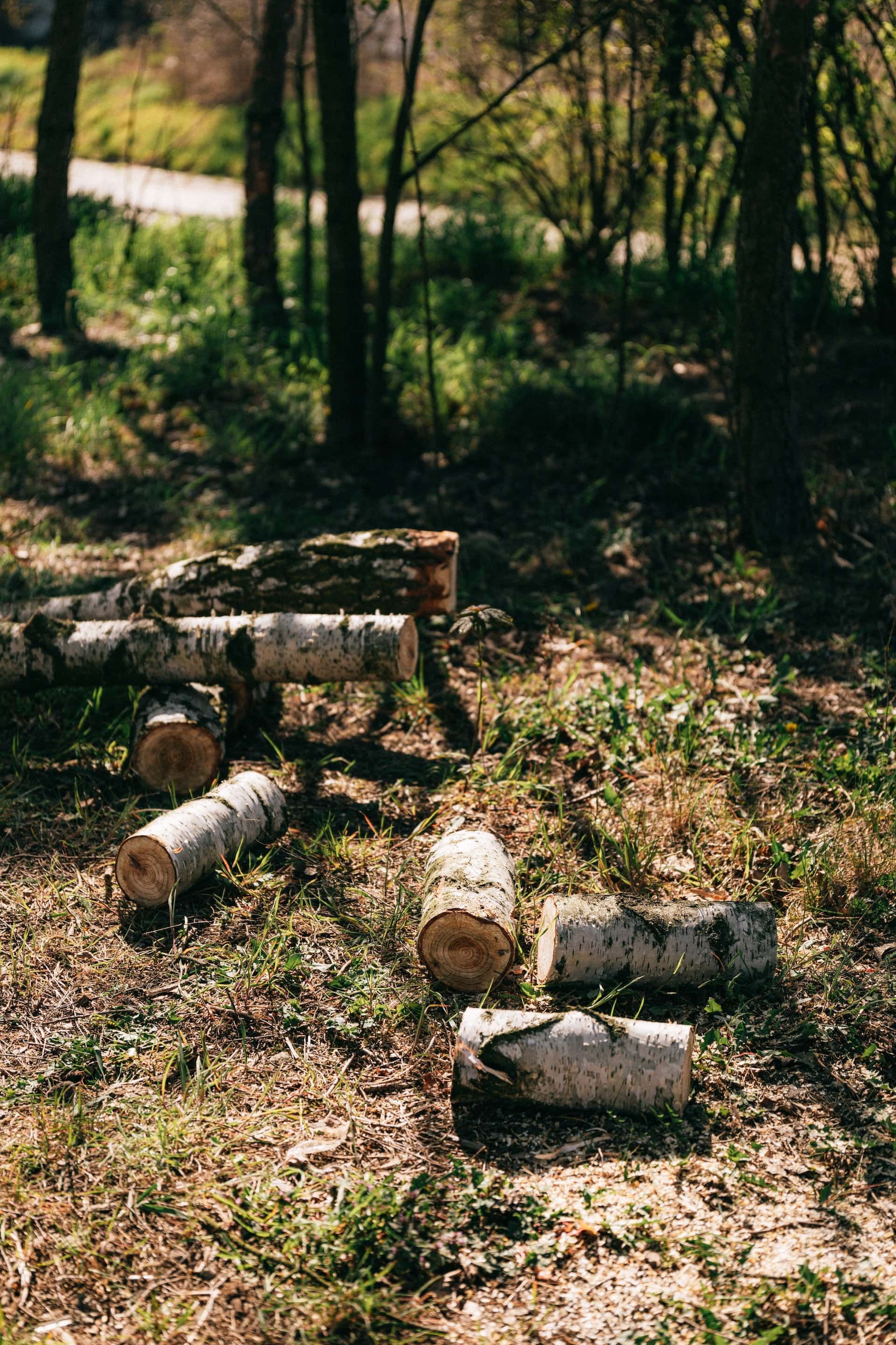 Tree Removal for Hawkins Tree Service & Land Management in Richmond Hill, GA