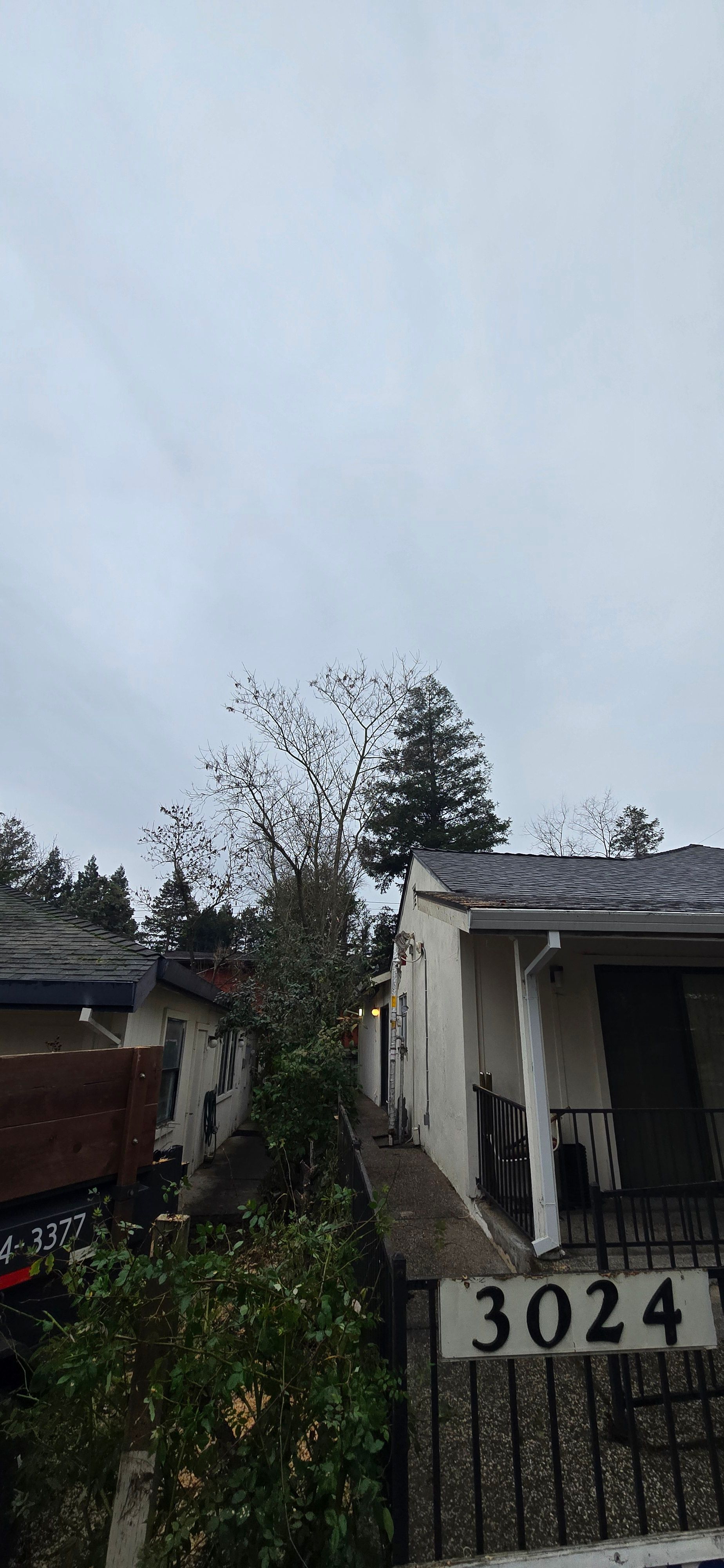  for George Staddan's Professional Tree Care in Placerville, CA