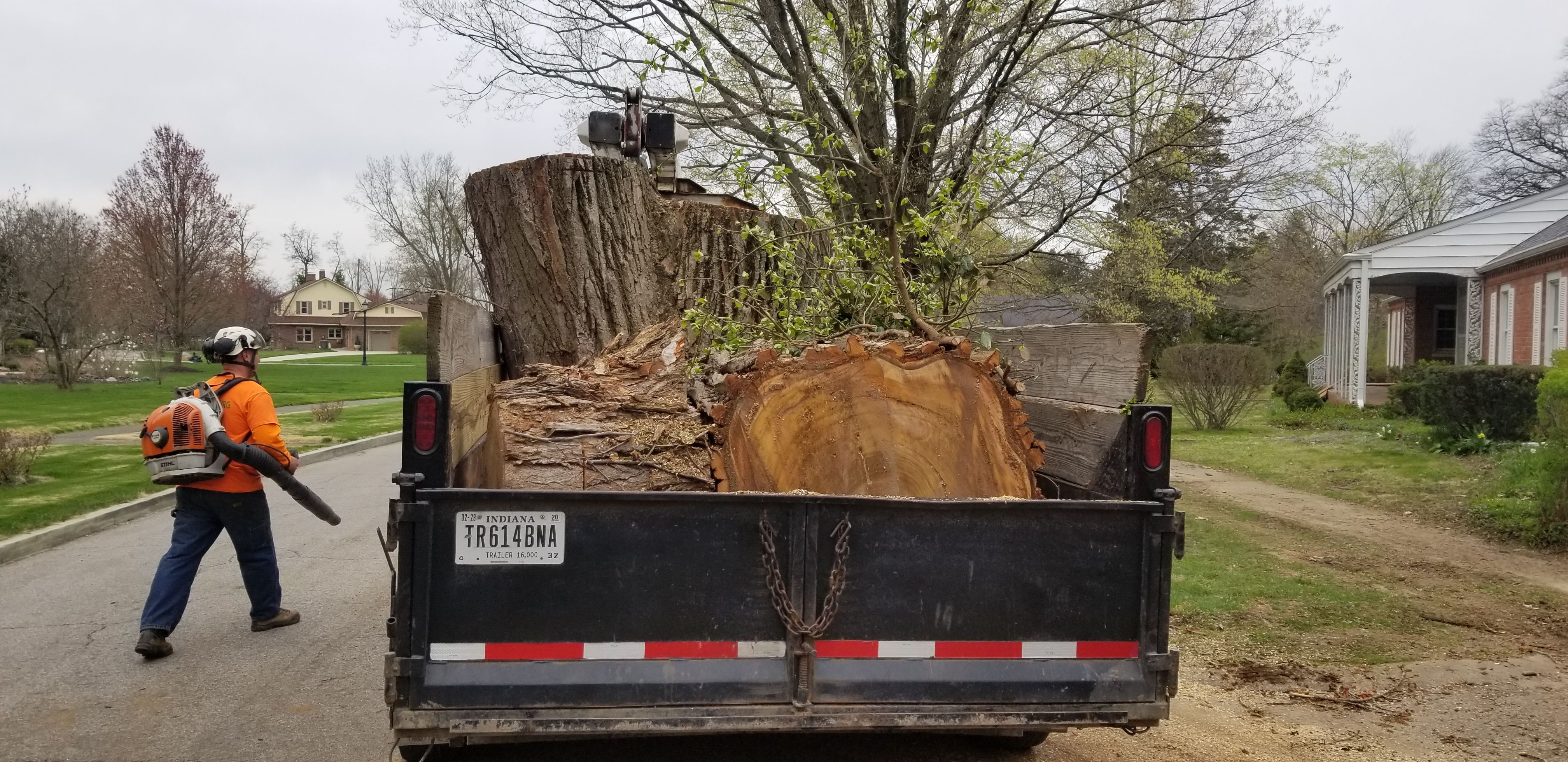  for Advanced Tree Solutions in Rockville, IN