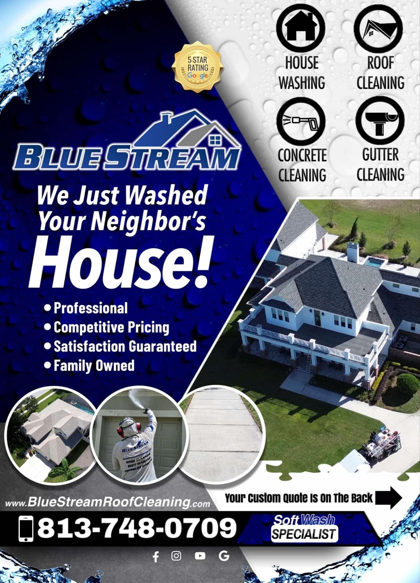  for Blue Stream Roof Cleaning & Pressure Washing in Tampa, FL