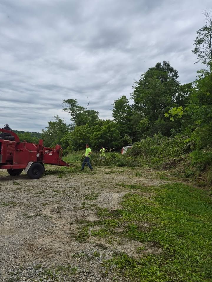  for Carpenter's Tree Service in Aurora, IN