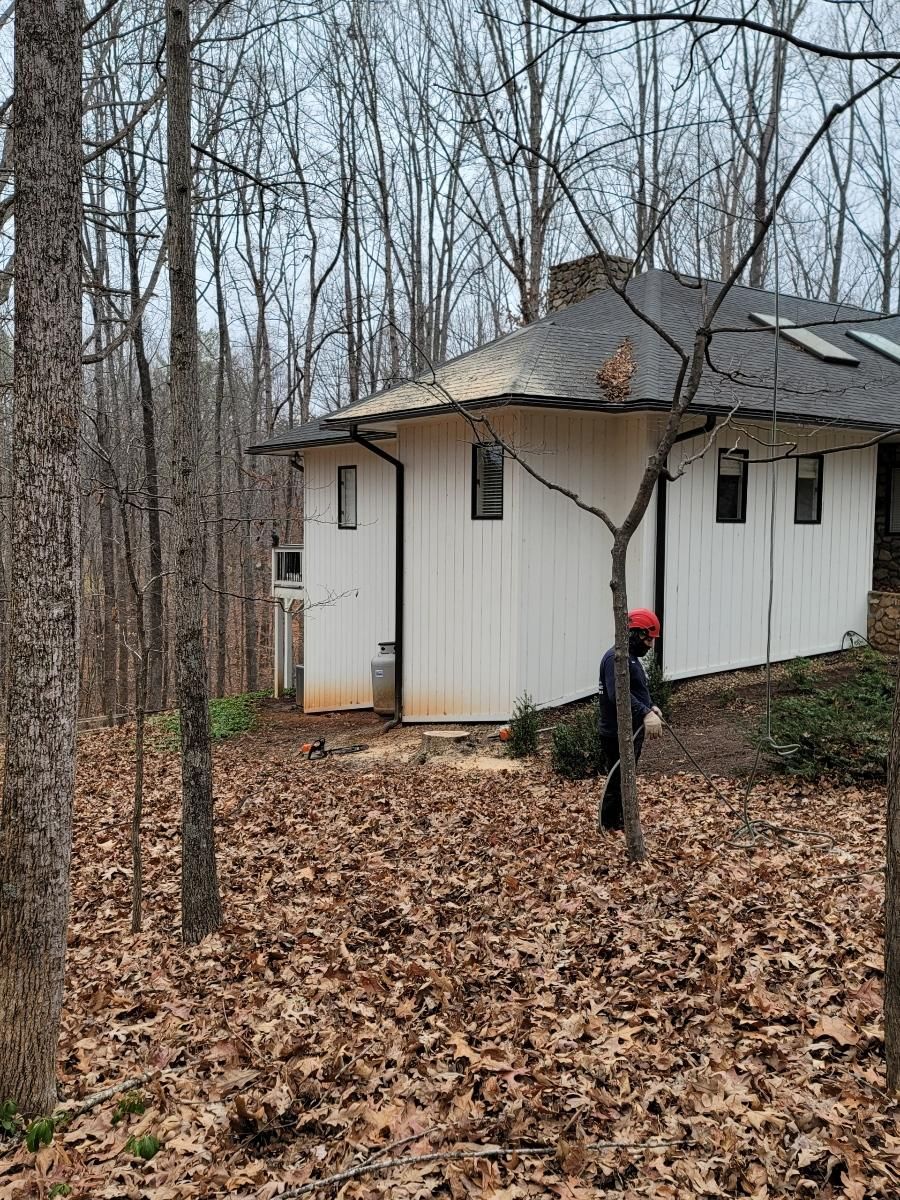  for Integrity Tree and Landscaping in Lynchburg, VA