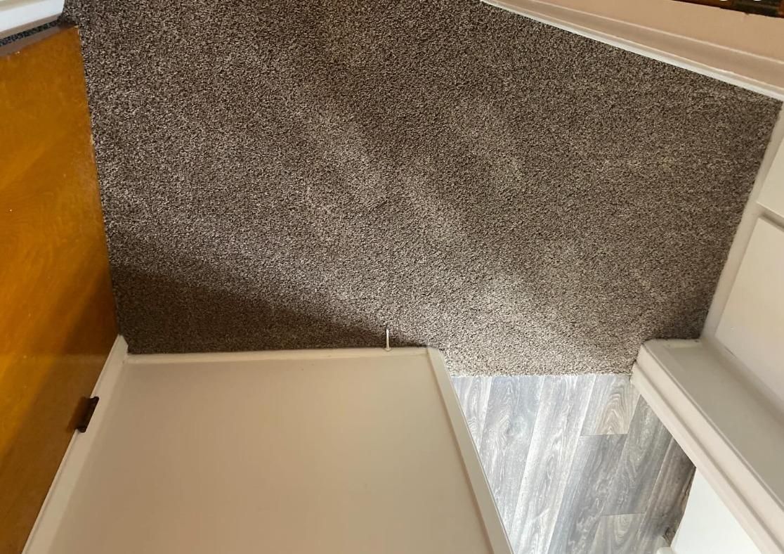 All Photos for NV Carpets in Fontana, CA