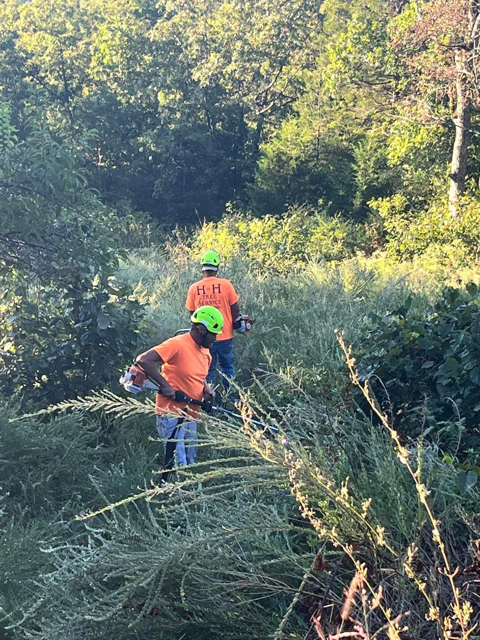  for H n H Tree Service in Taneyville, MO