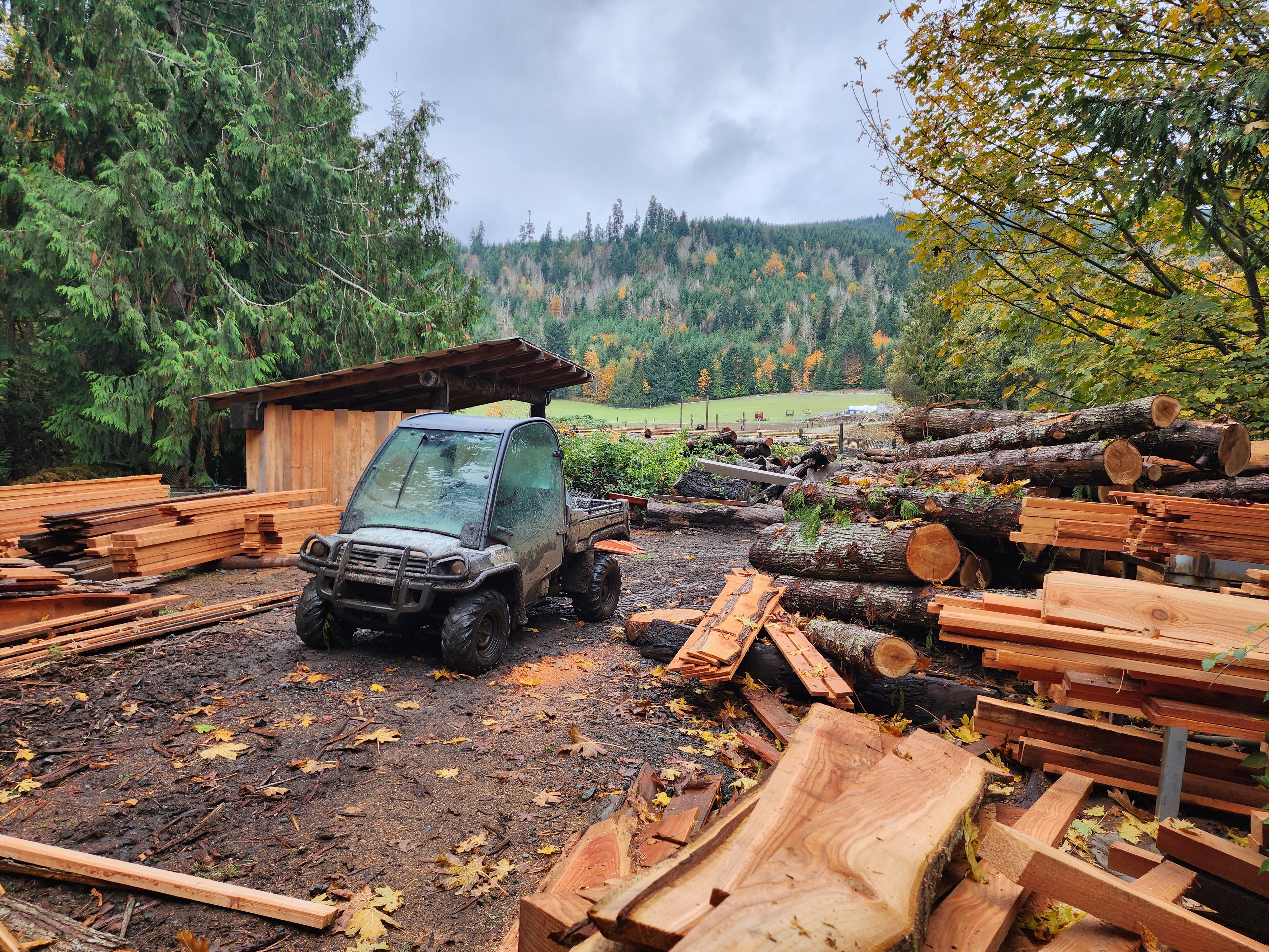  for The Baskins Sawmill in Port Angeles,  WA