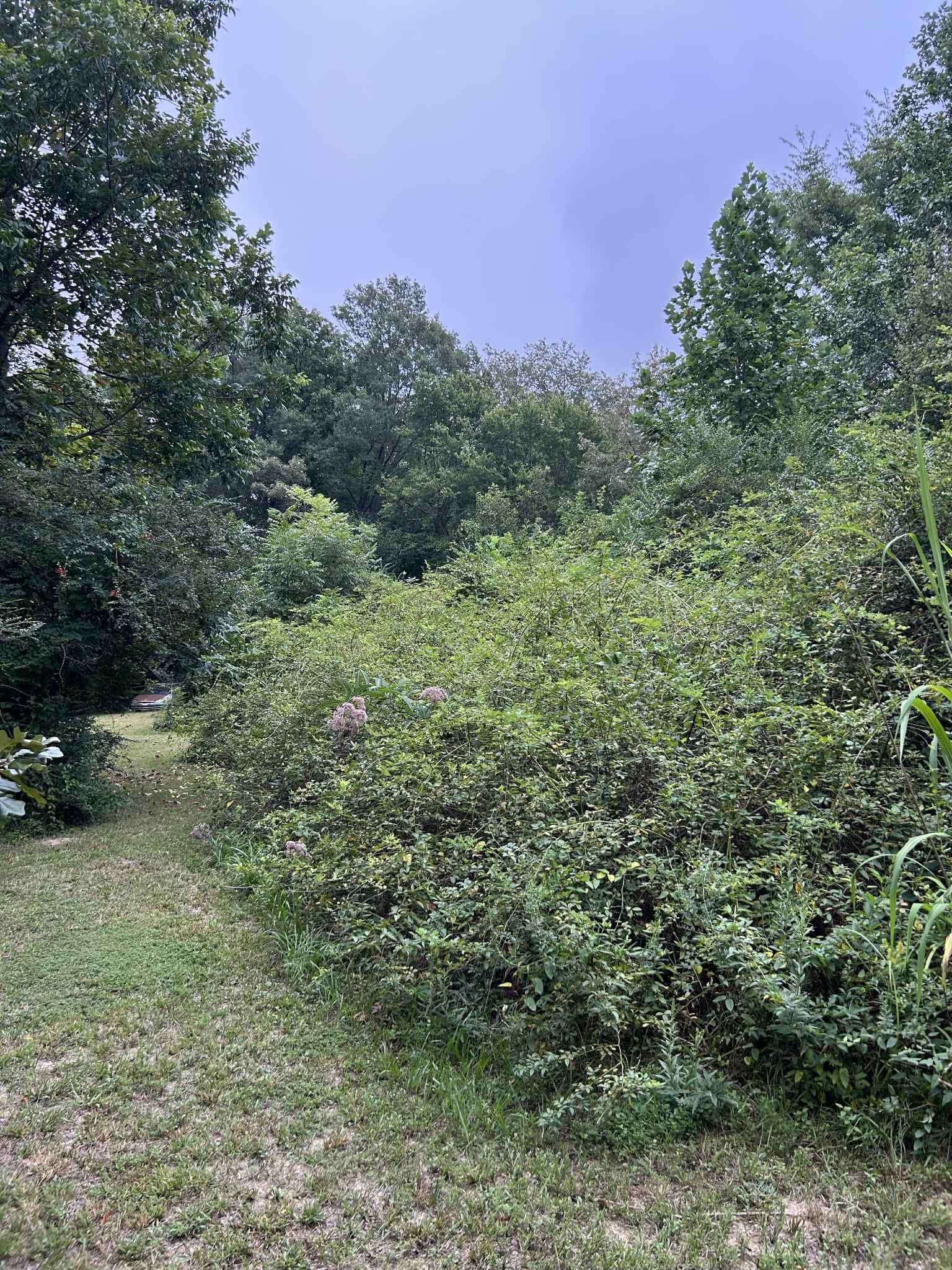  for Z's Land Management & Forestry Mulching in Smithville, TN