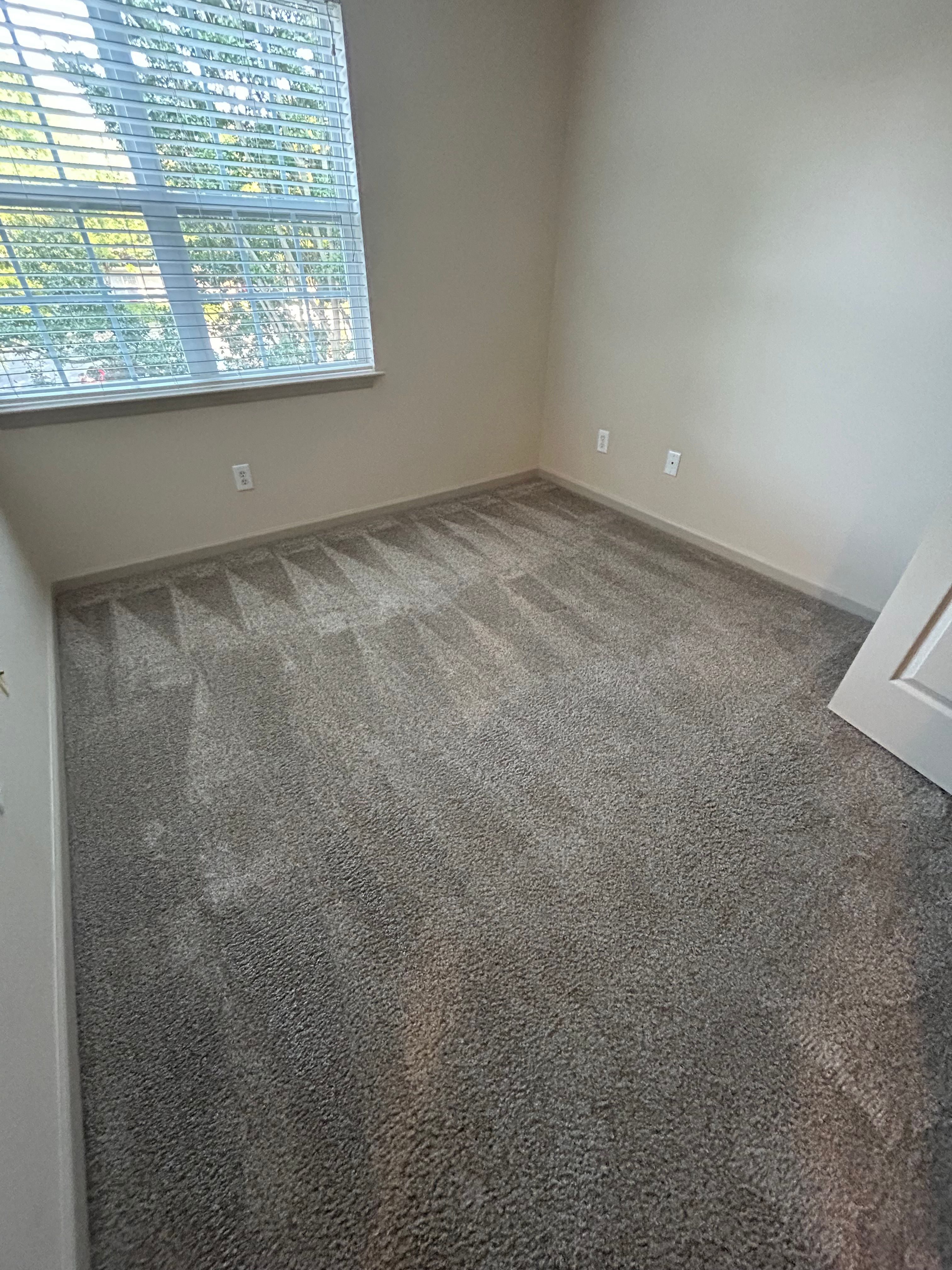 Carpet Cleaning  for Cleaning Carolina’s LLC in Greensboro, NC