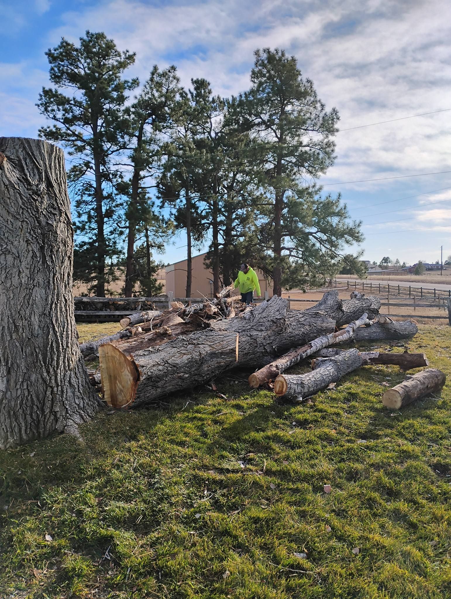  for Sloan Tree Service in Aurora, CO