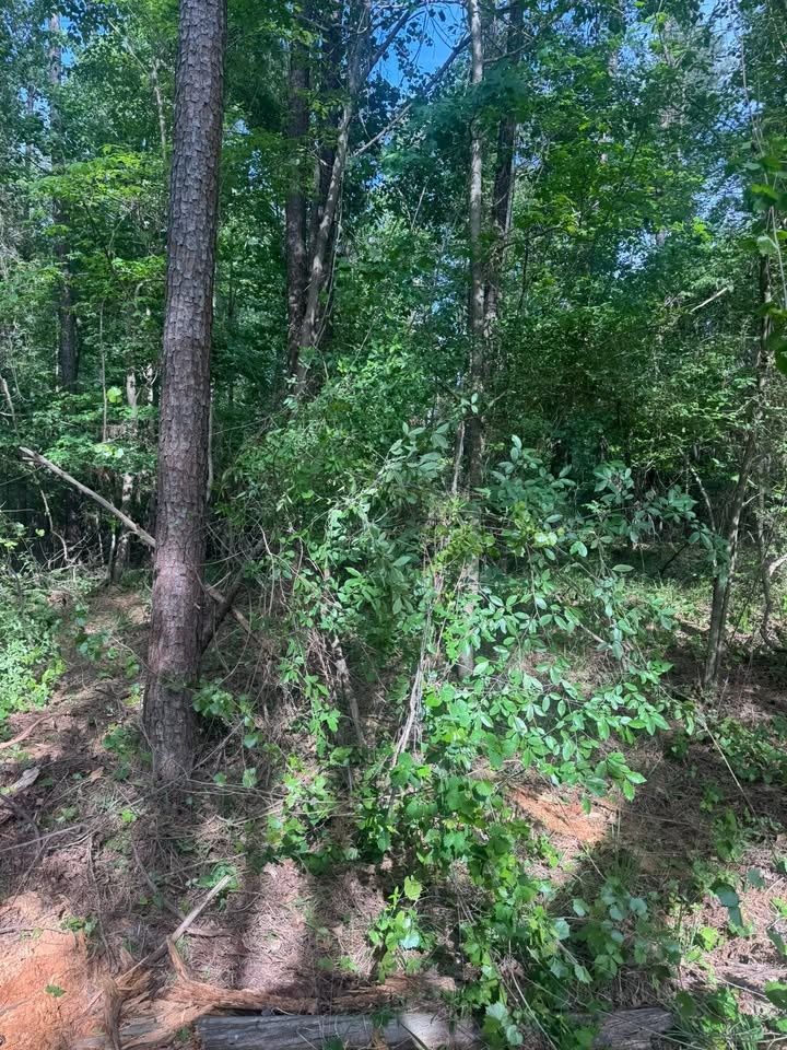  for Fall Line Septic LLC in McIntyre, GA