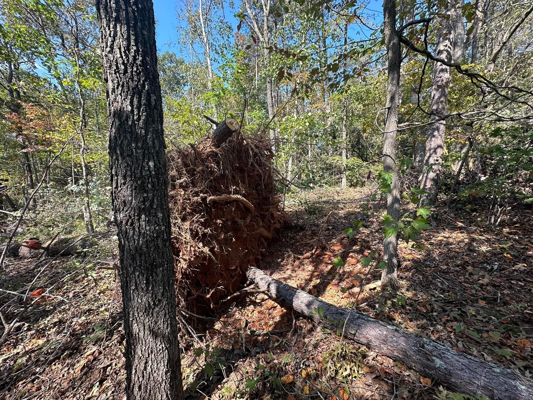All Photos for The Flip Flop Roofer in Statesville, NC