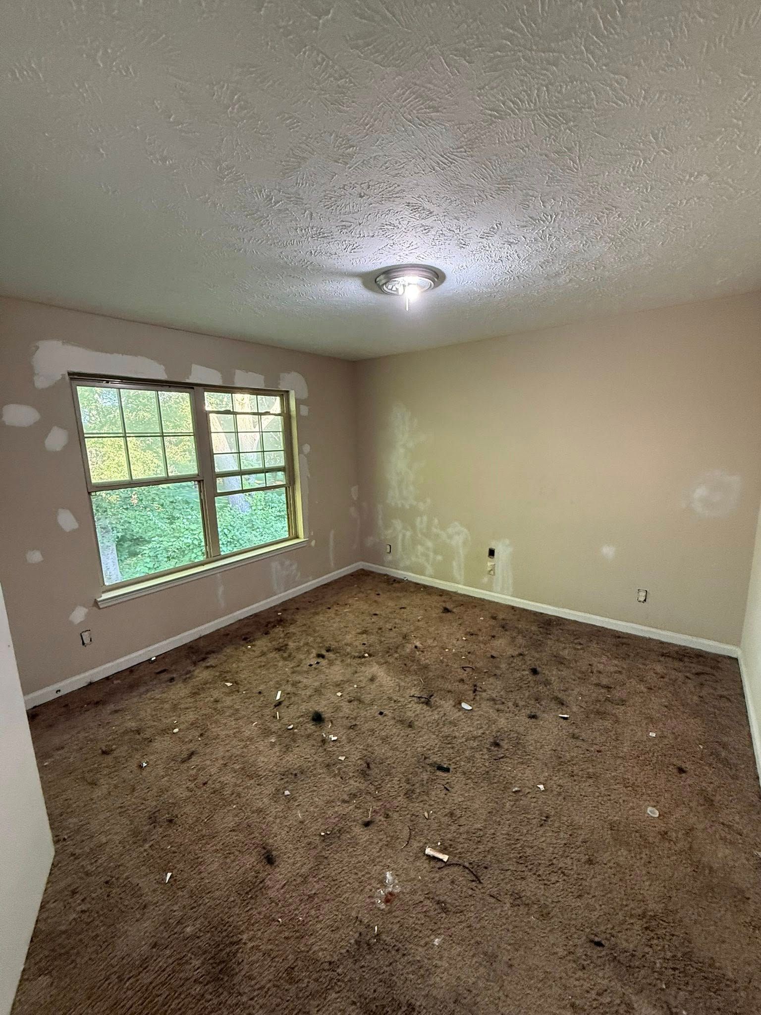  for Pro Master Painting Company in Murfreesboro, TN