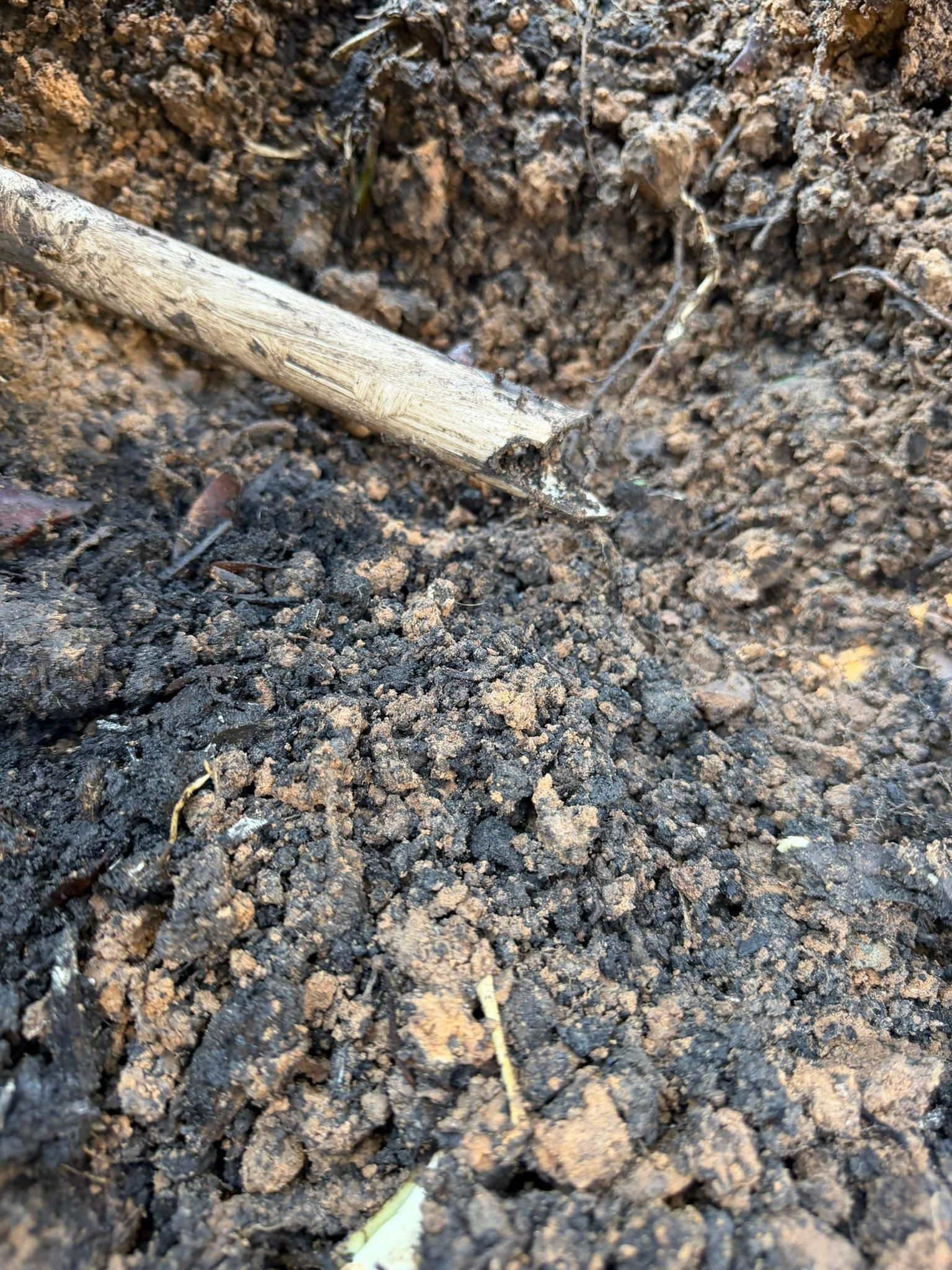  for Texas Curb N Borders in Houston, TX