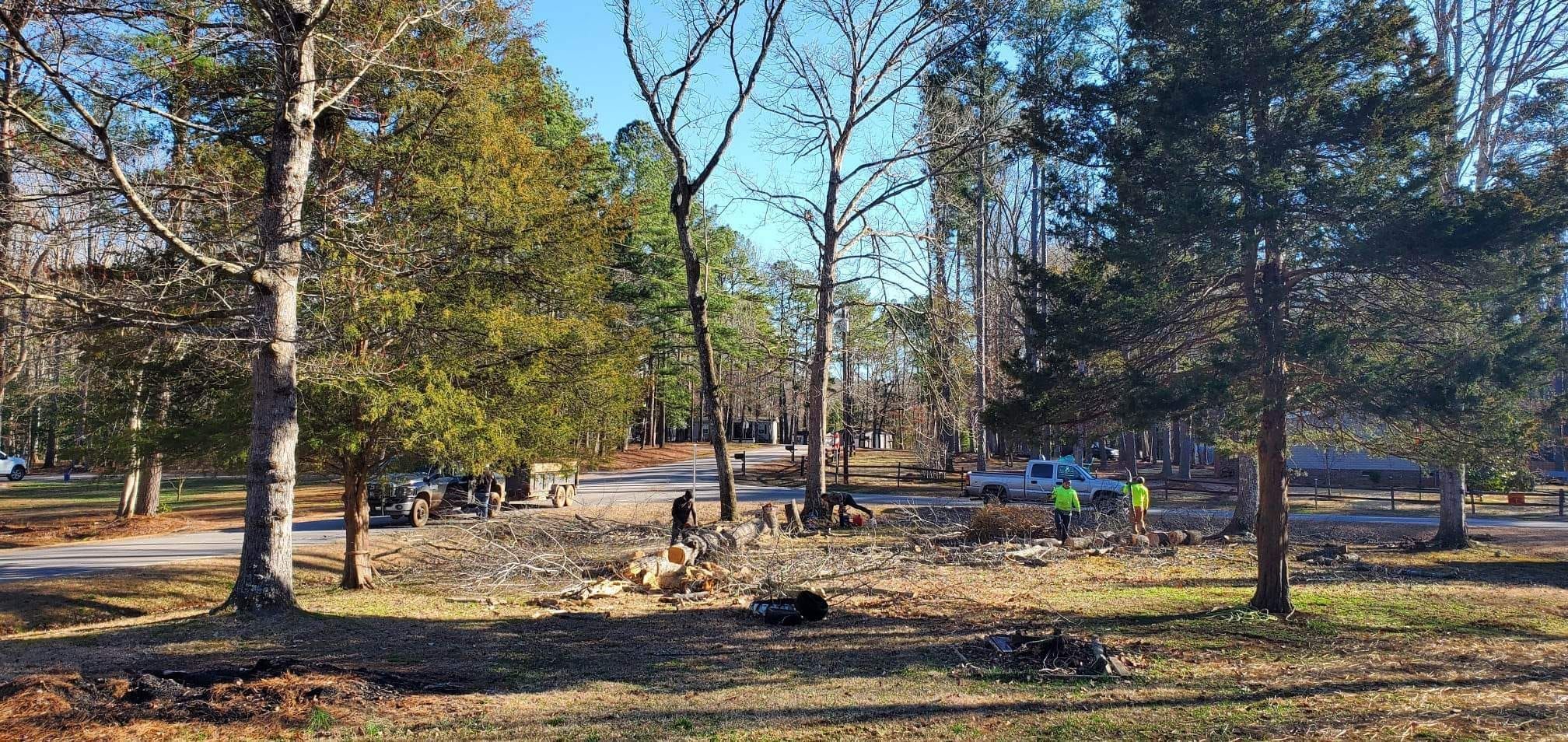 Tree Removal for Rosales Landscaping LLC in Lake Gaston, North Carolina