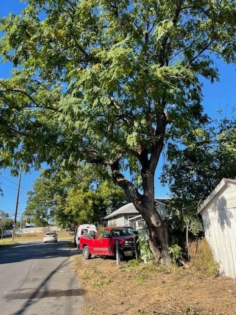  for Neighborhood Lawn Care and Tree Service  in San Antonio, TX